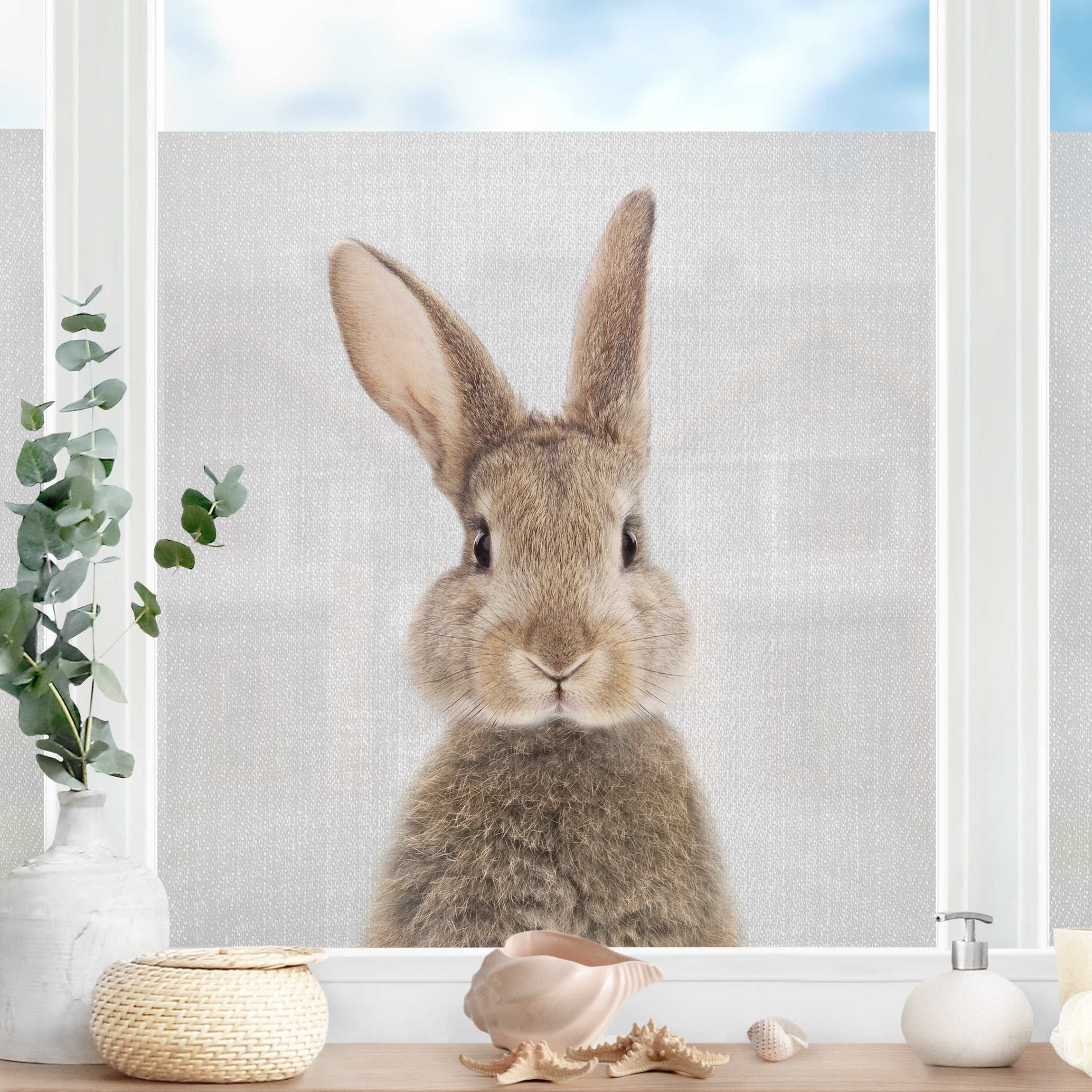 Fensterfolie Hase Hilbert