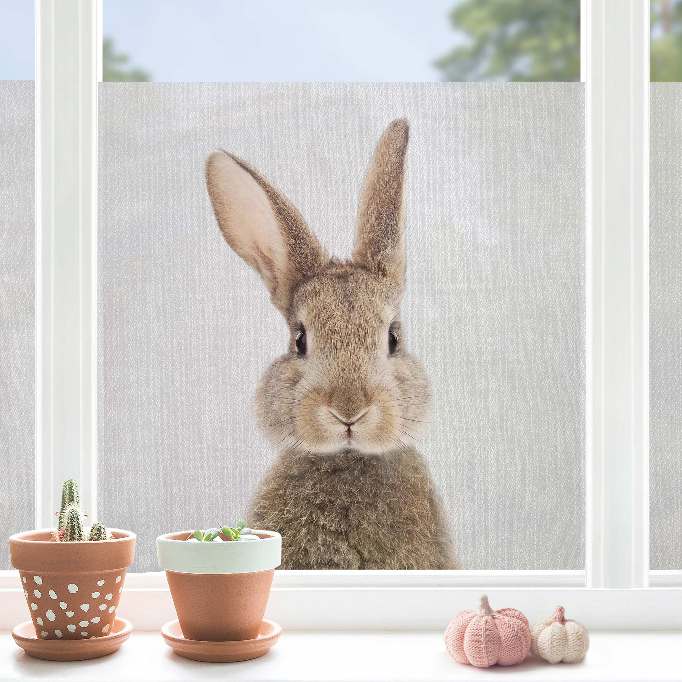 Fensterfolie Hase Hilbert