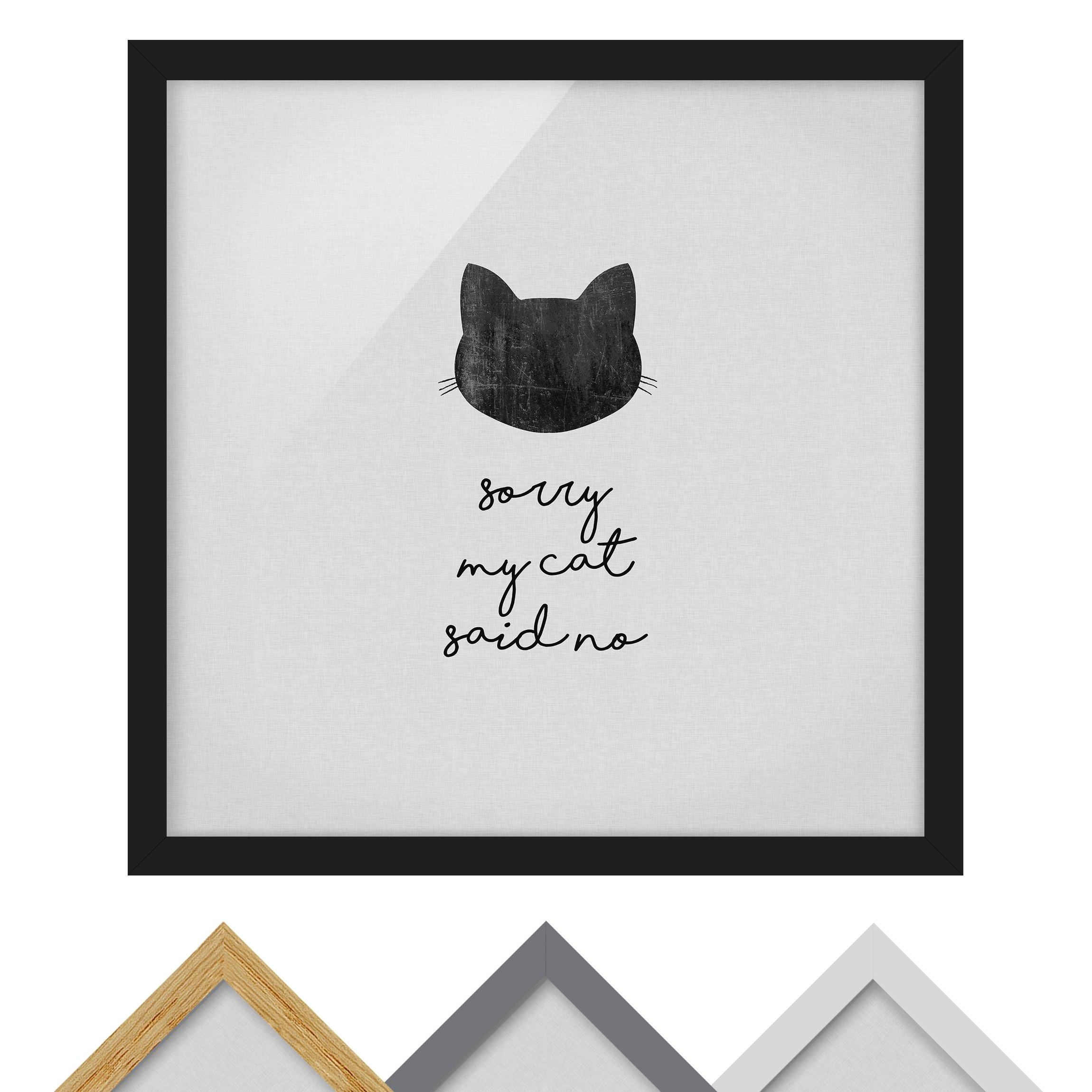 Bild mit Rahmen Haustier Zitat Sorry My Cat Said No