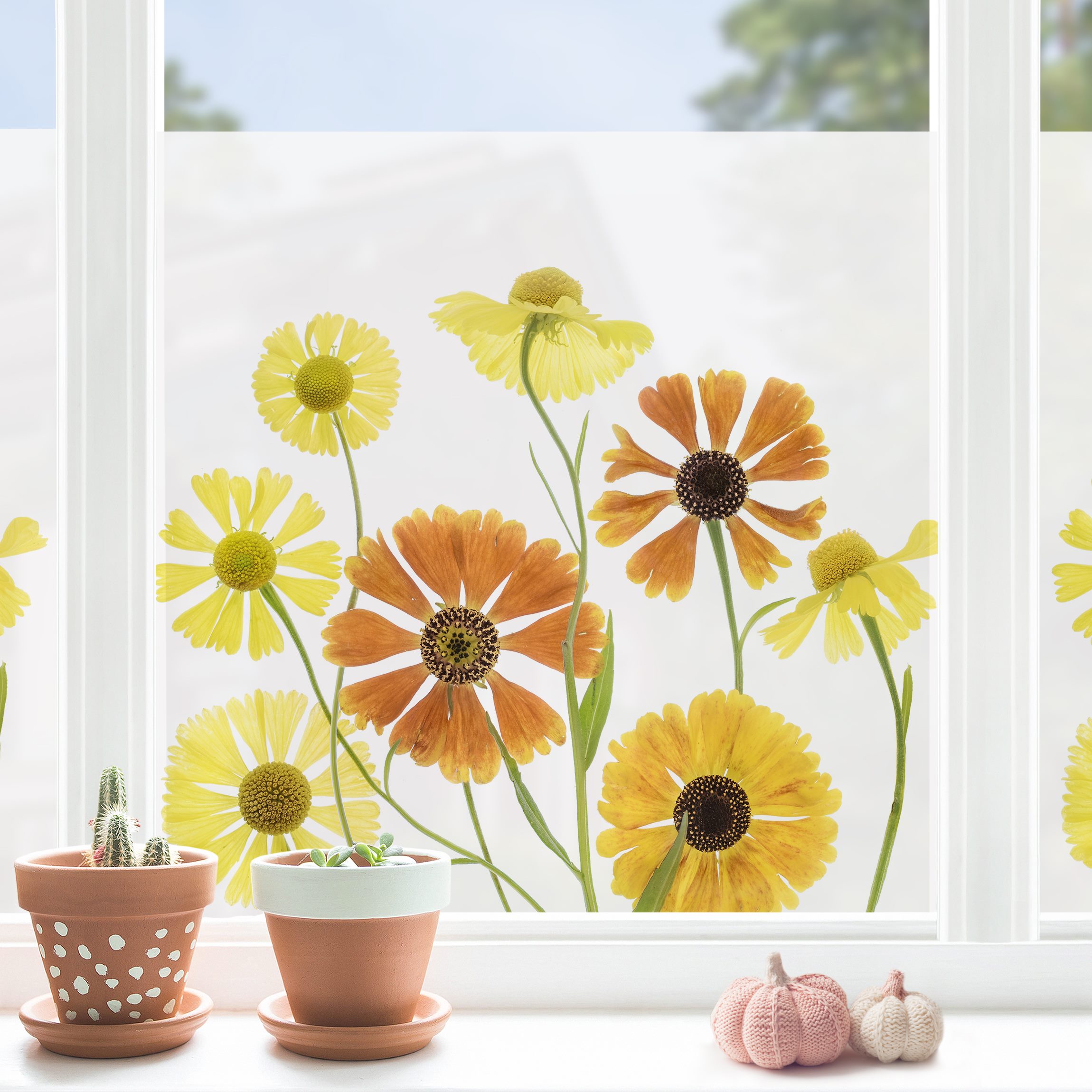 Fensterfolie Helenium