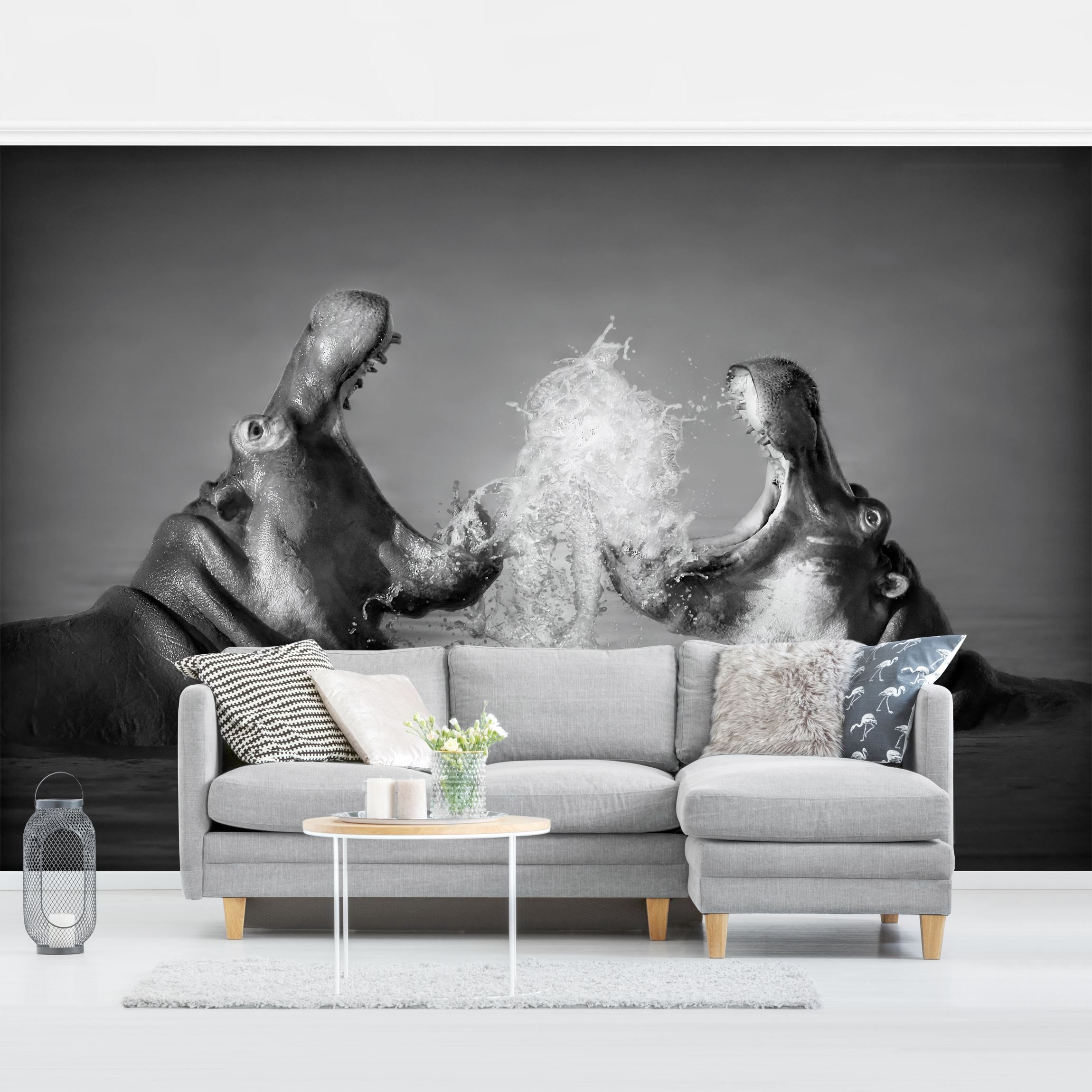 Fototapete Tiere Hippo Fight