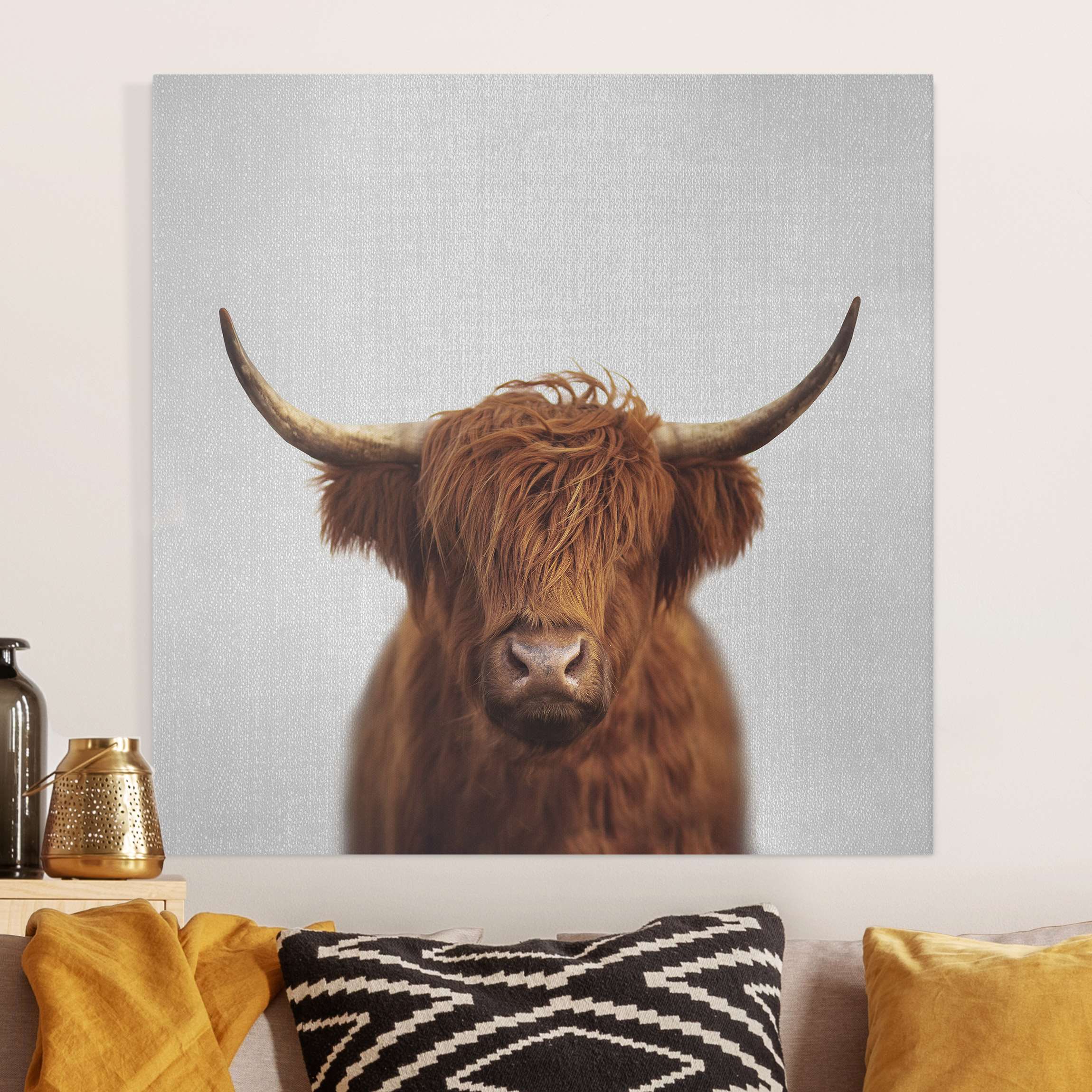 Leinwandbild Hochlandrind Harry