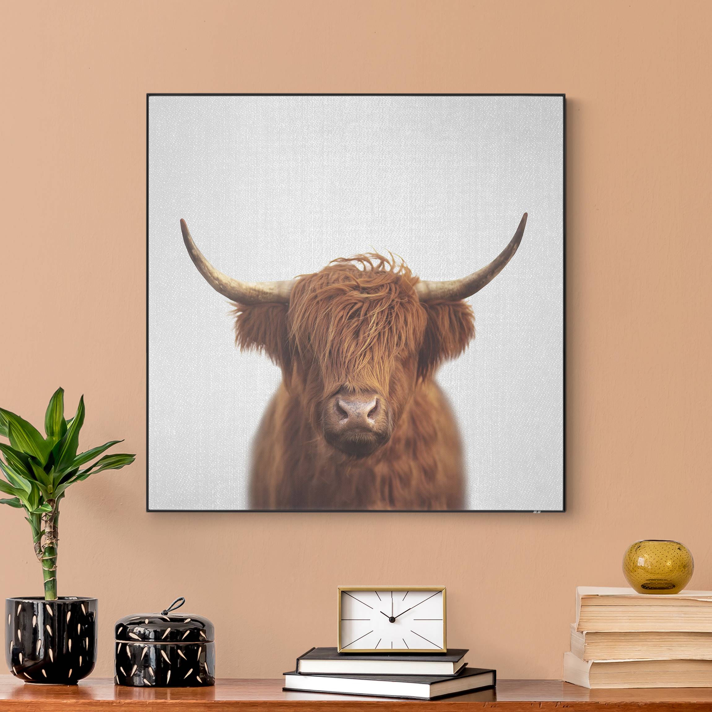 Wechselbild Hochlandrind Harry