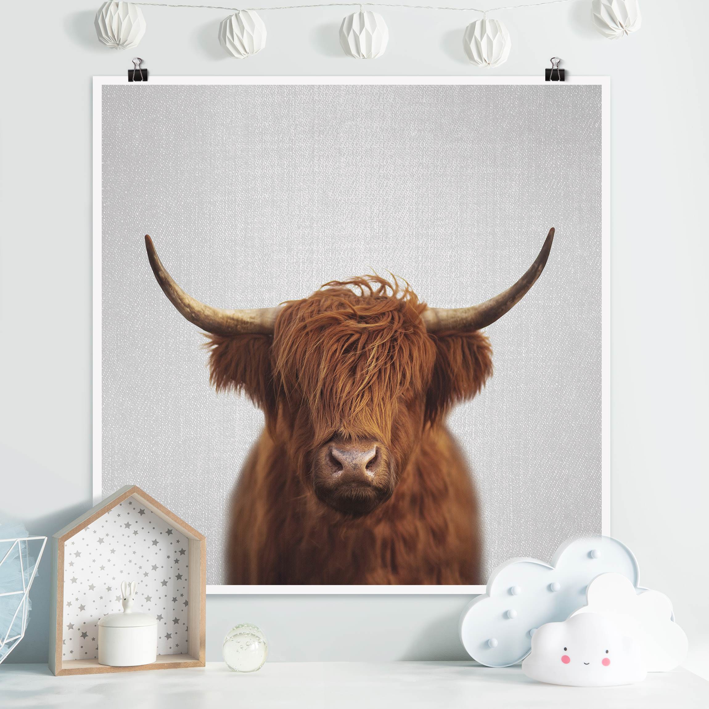 Poster Hochlandrind Harry