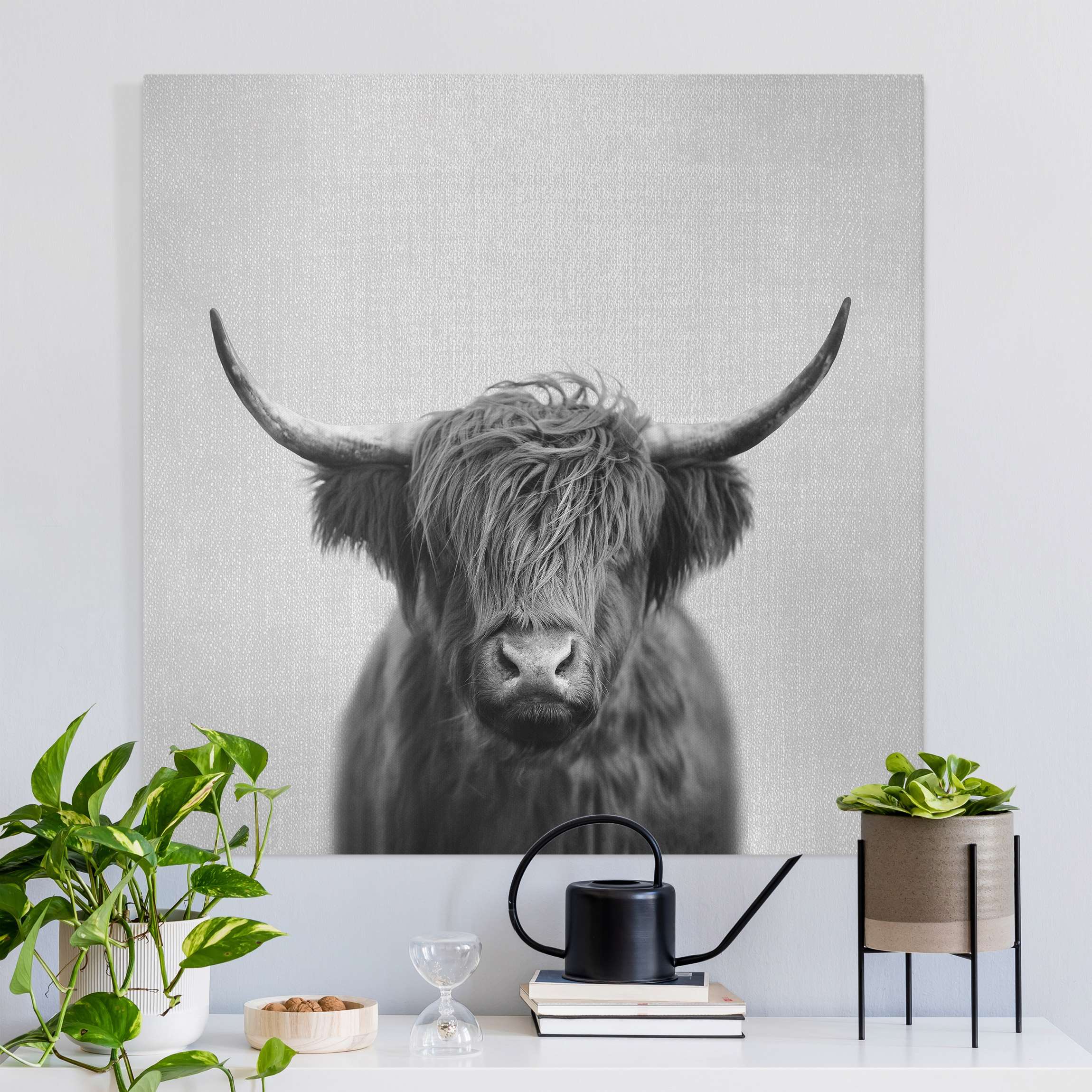 Leinwandbild Hochlandrind Harry Schwarz Weiß