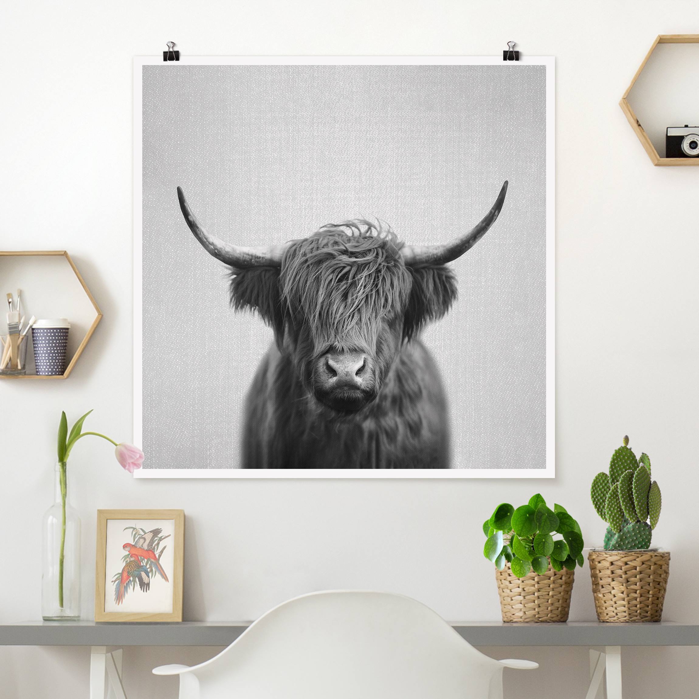 Poster Hochlandrind Harry Schwarz Weiß