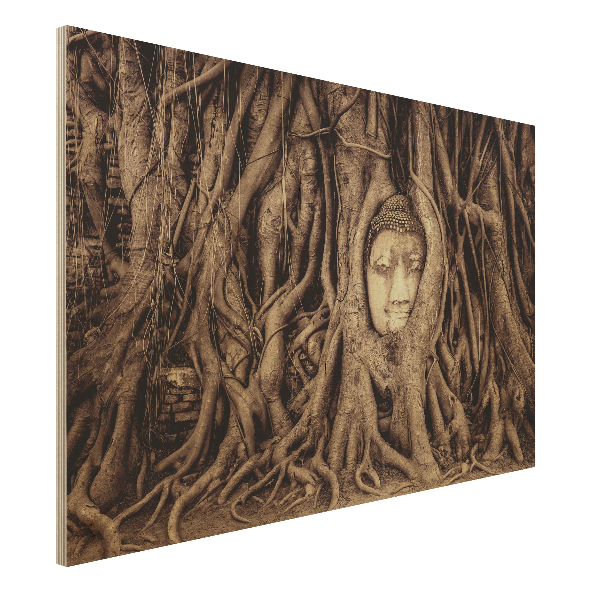 Holzbild - Querformat 3:2 Buddha in Ayutthaya von Baumwurzeln gesäumt in Braun