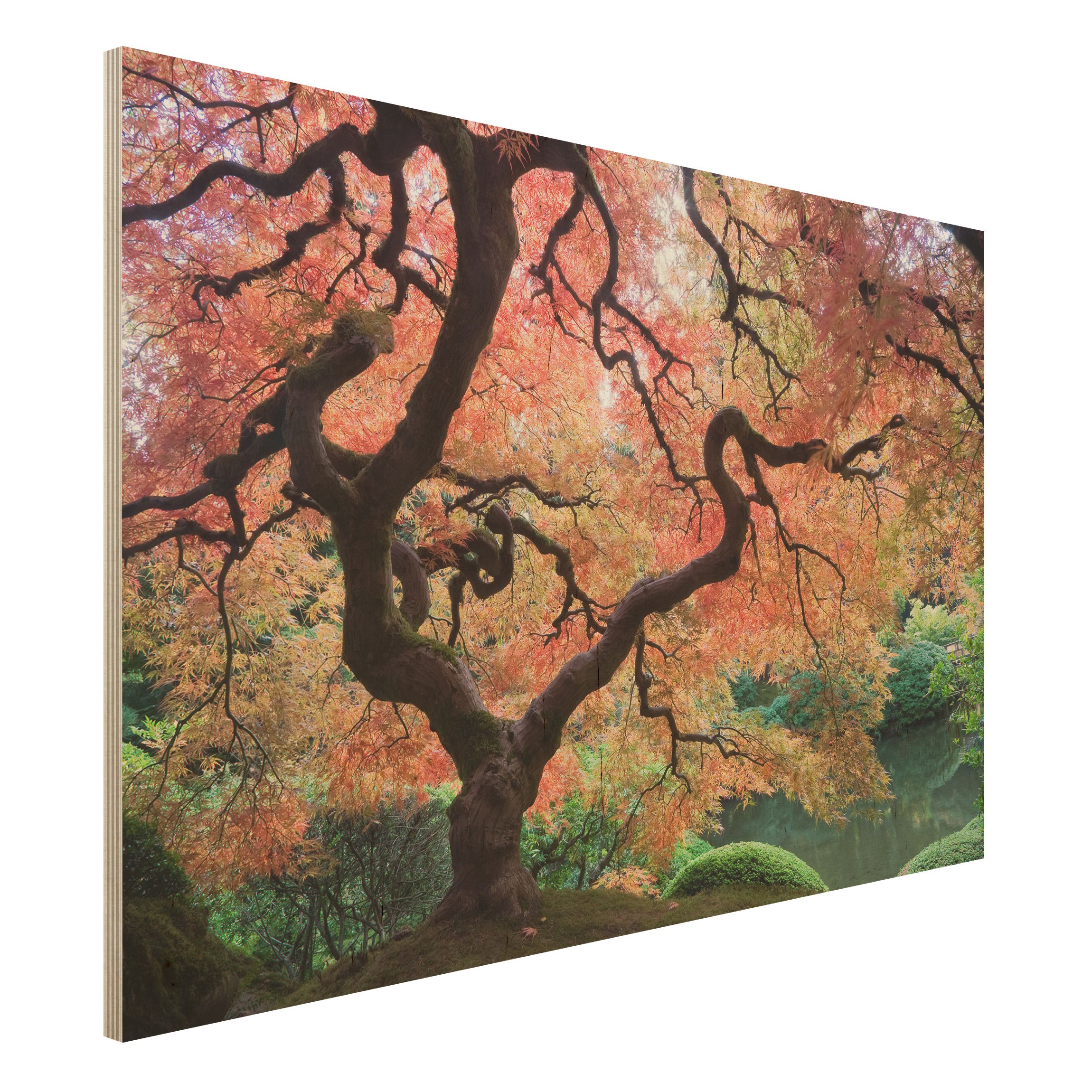Holzbild - Querformat 3:2 Japanischer Garten