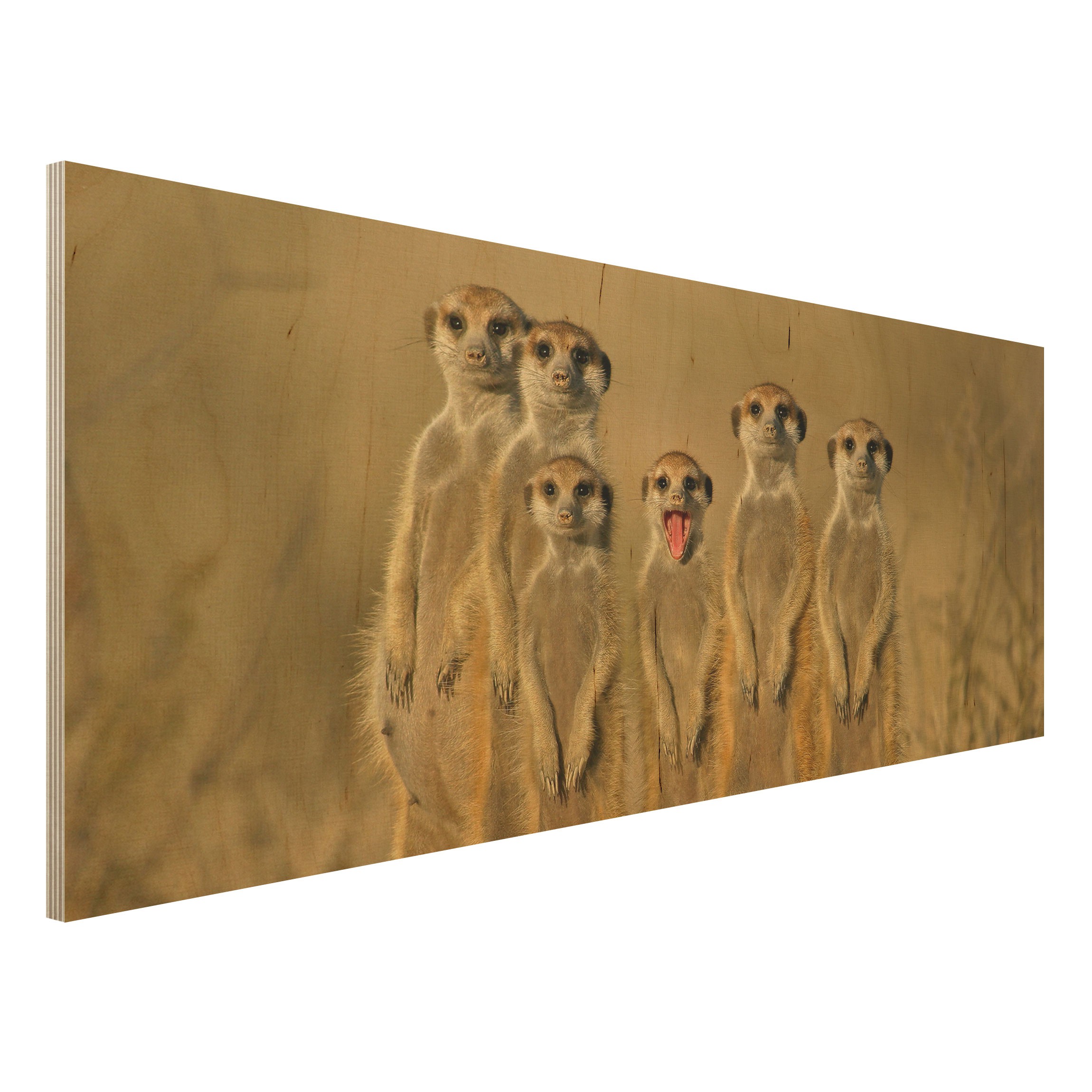 Holzbild Tiere Meerkat Family