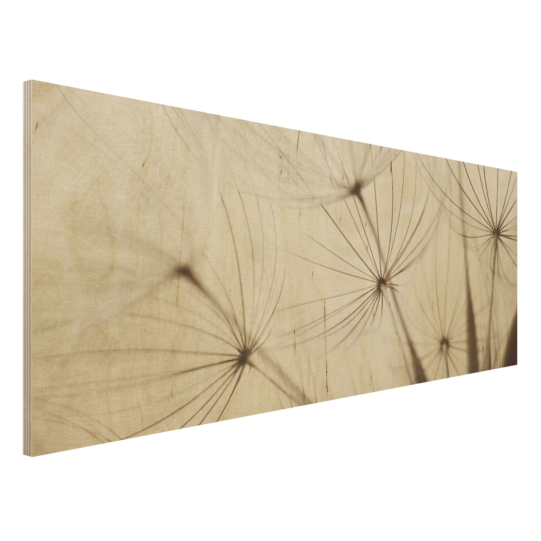 Holzbild Blumen Sanfte Gräser