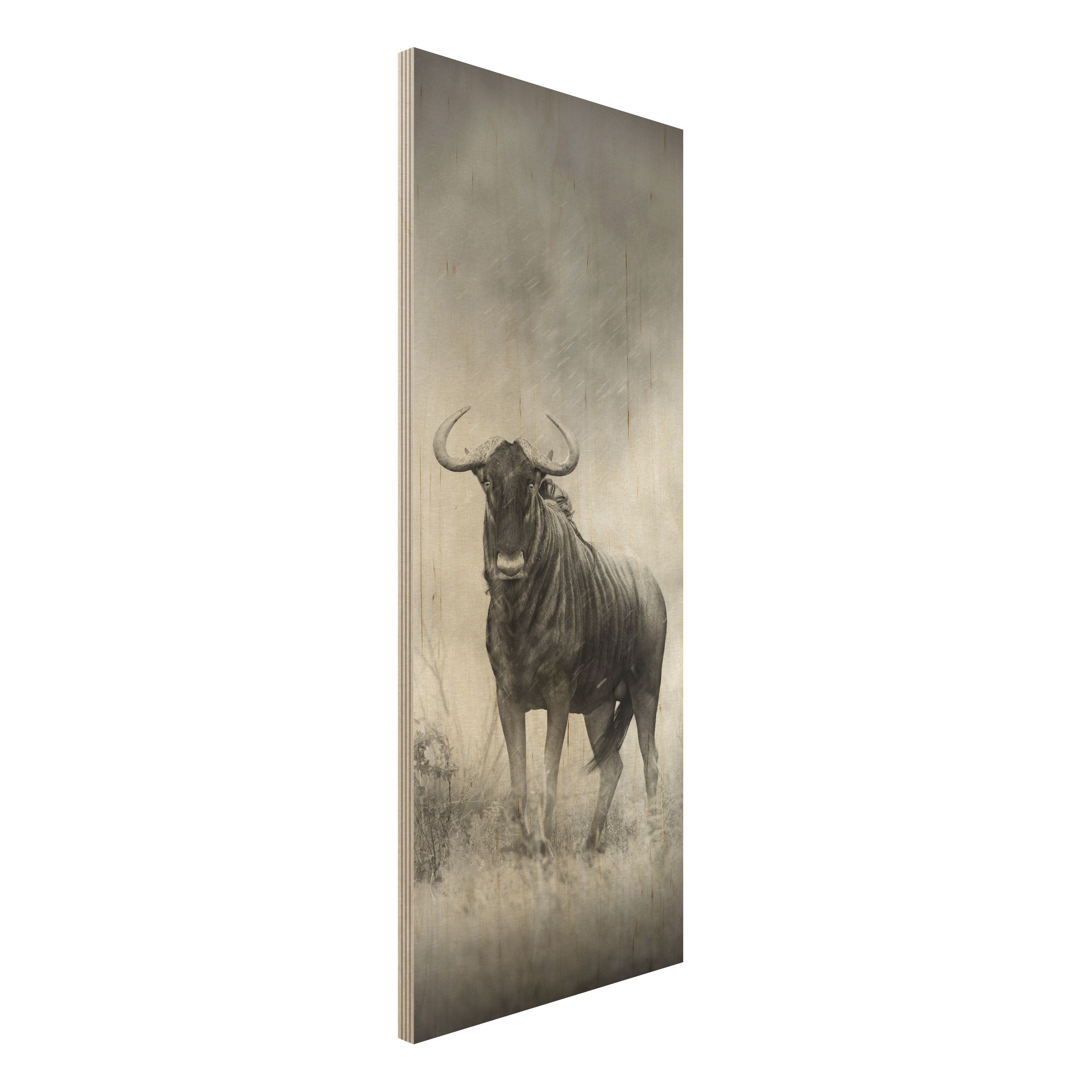 Holzbild Tiere Staring Wildebeest