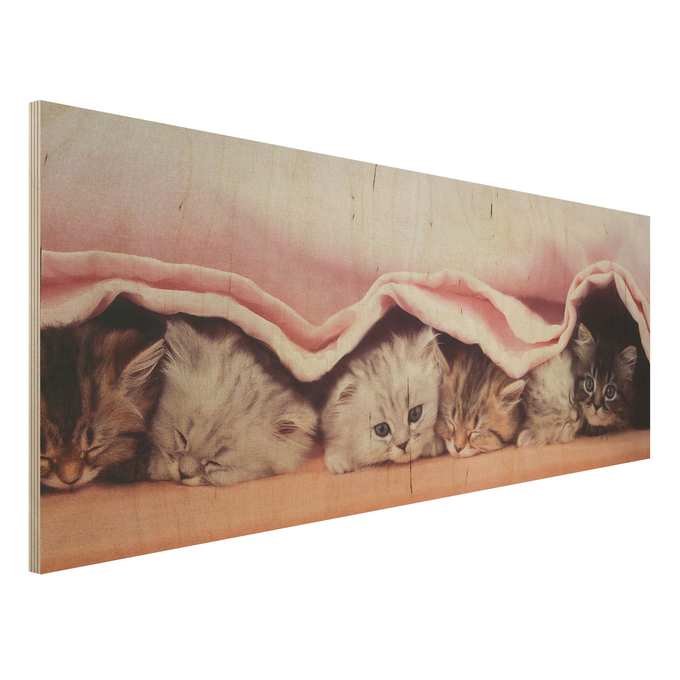 Holzbild Tiere Sugar-Sweet