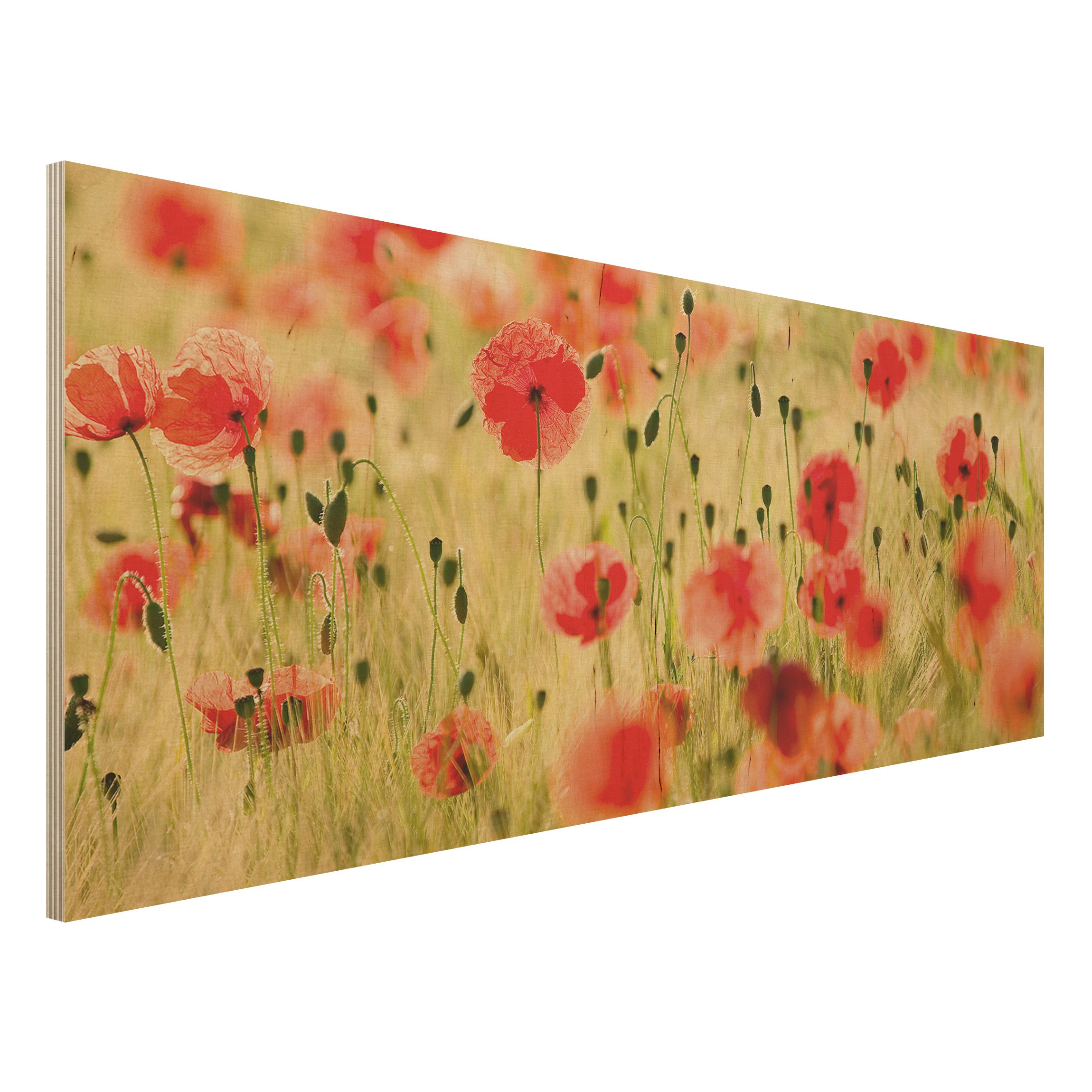 Holzbild Blumen Summer Poppies
