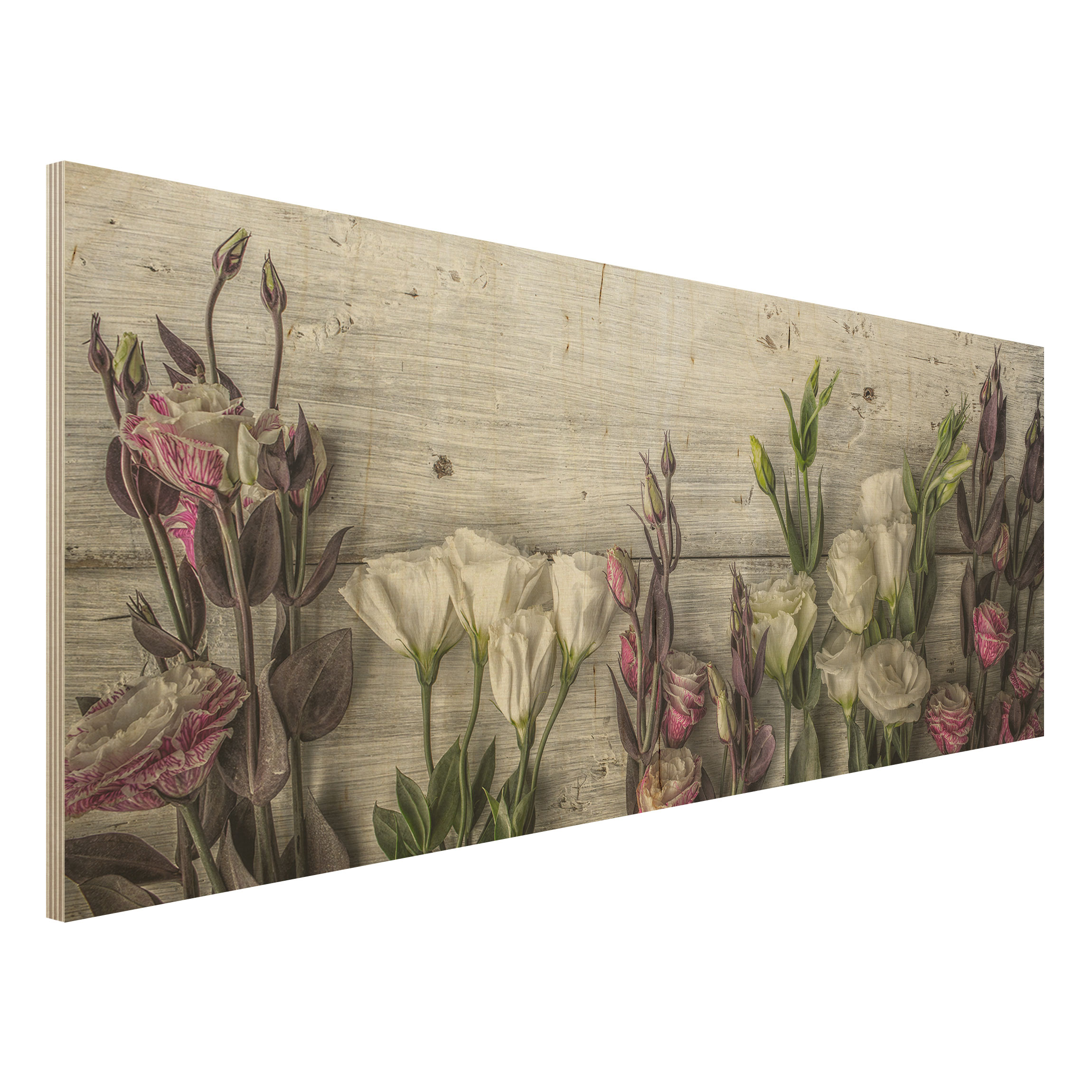 Holzbild Blumen Tulpen-Rose Shabby Holzoptik