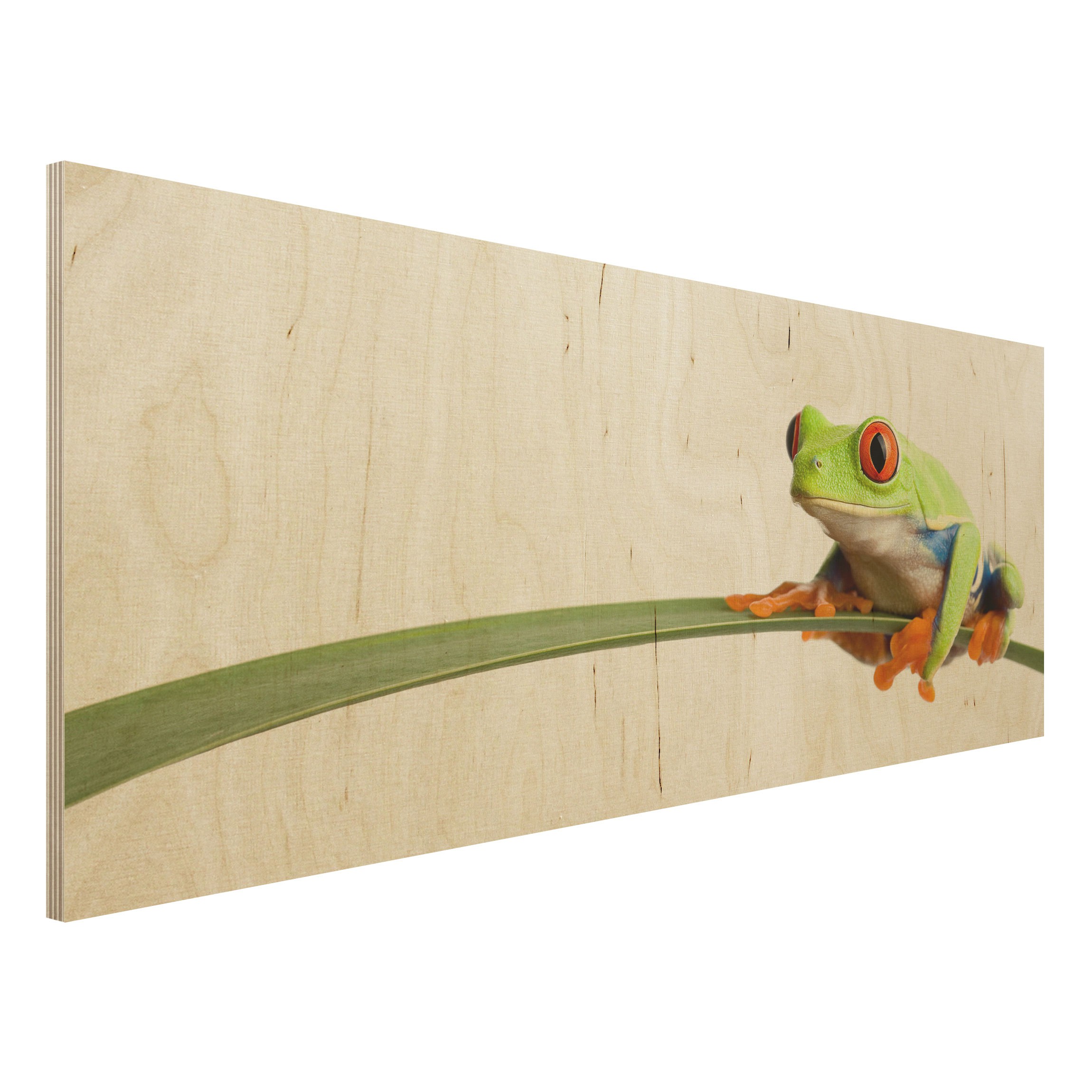 Holzbild Tiere Weatherman