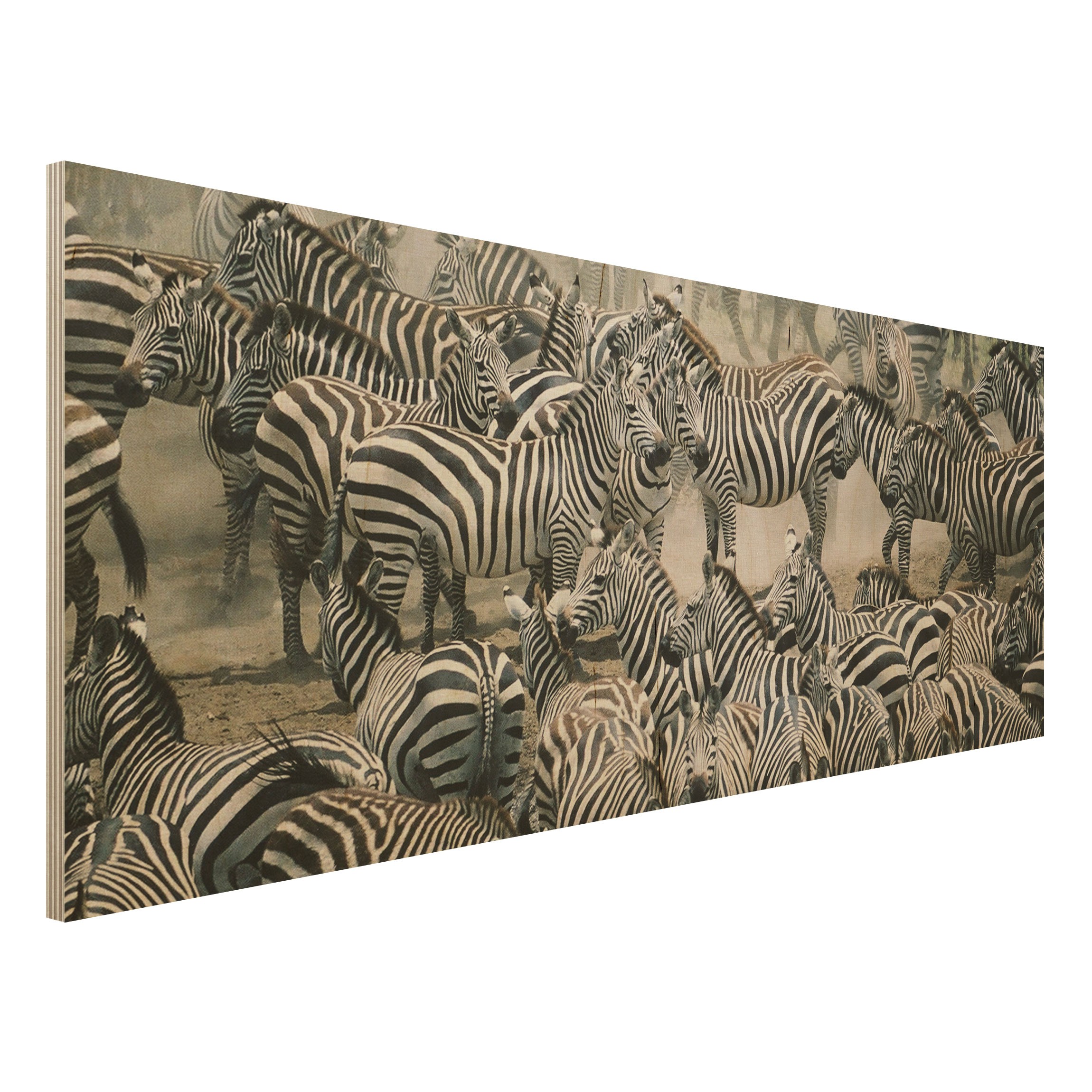 Holzbild Tiere Zebraherde
