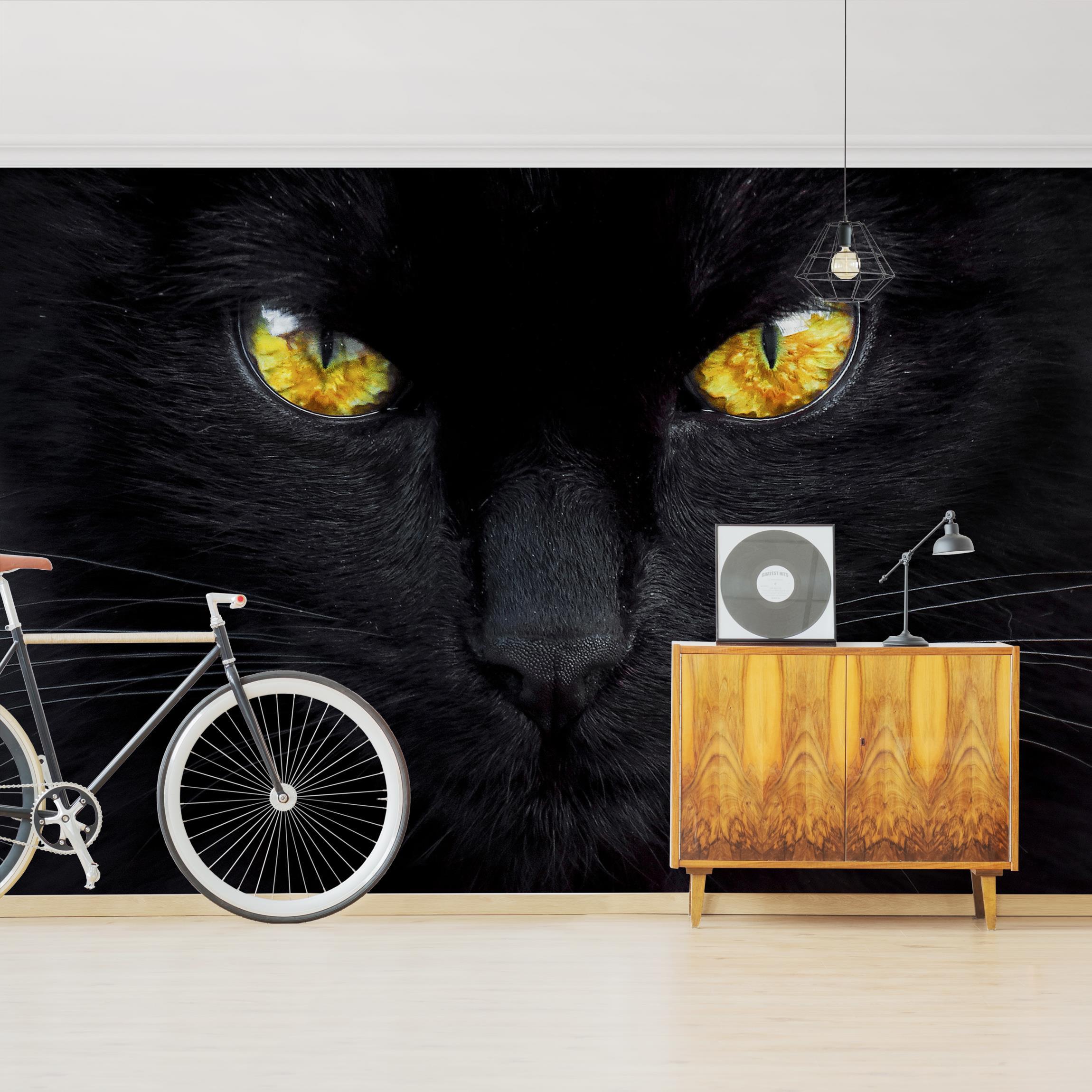 Fototapete Hypnotischer Blick