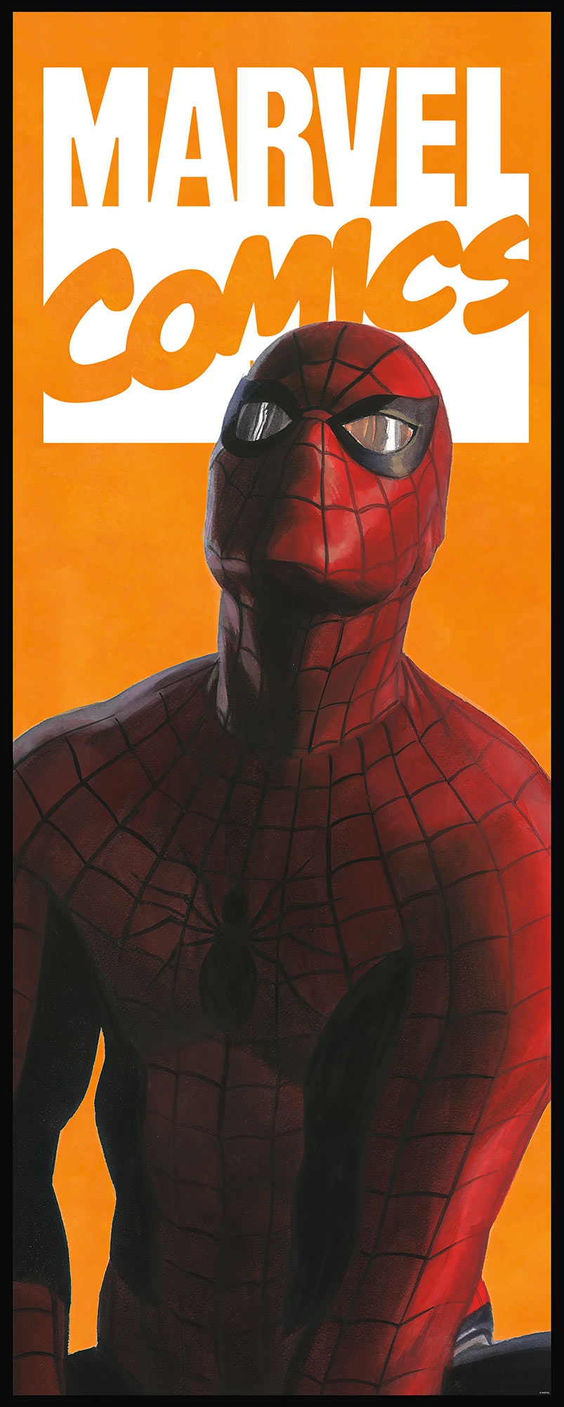 Fototapete Spider-Man Comic