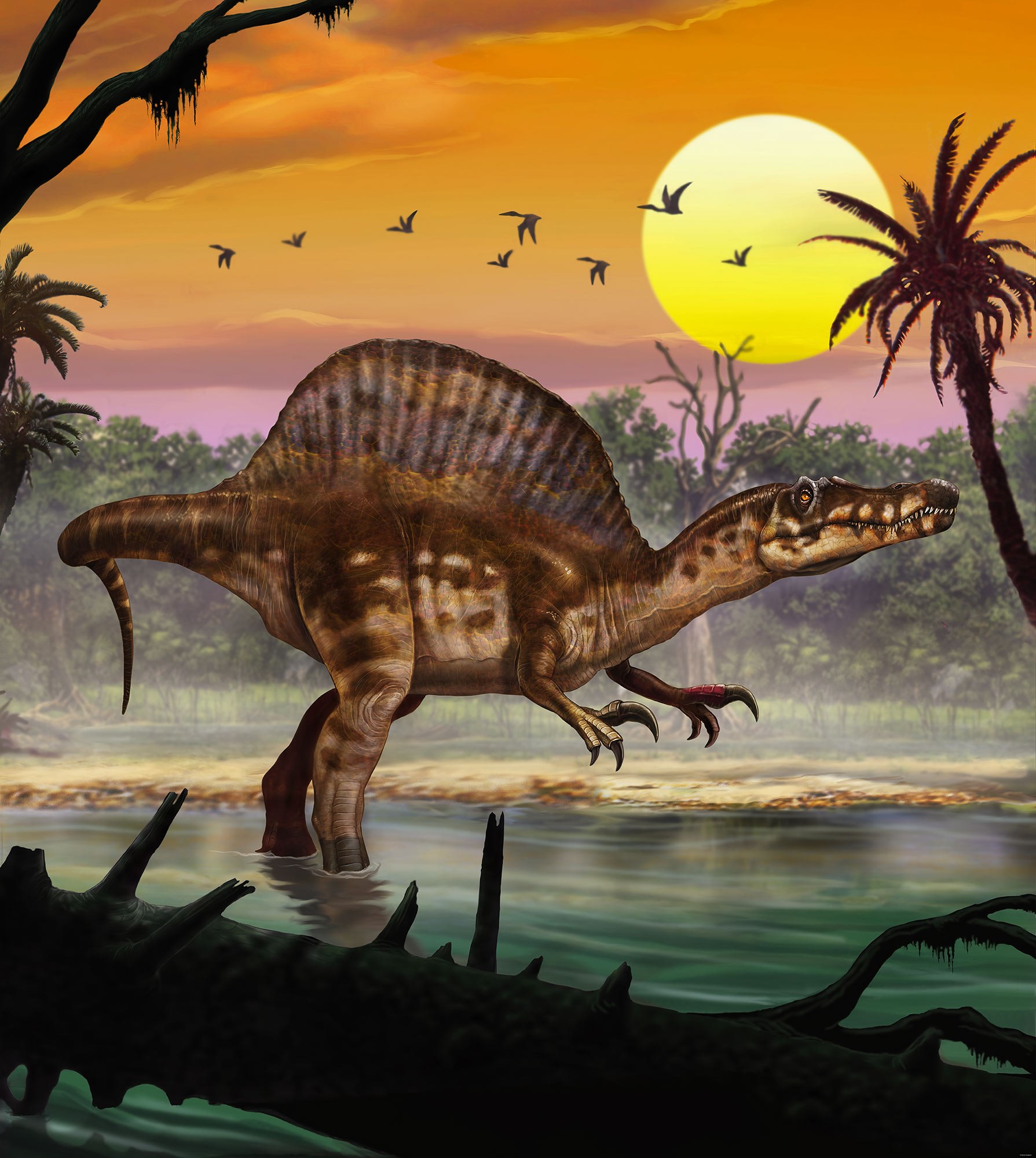 Fototapete Spinosaurus
