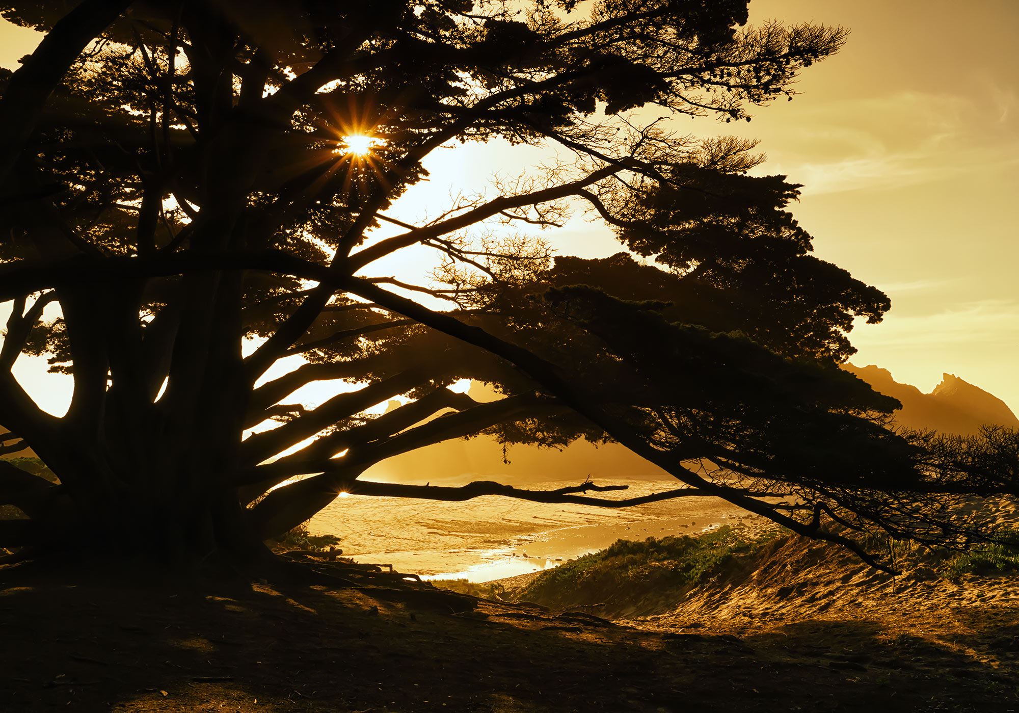 Fototapete Perfect Moment