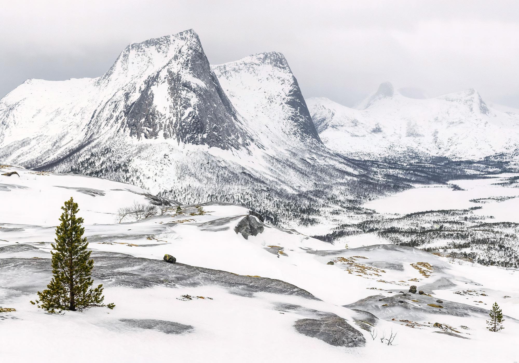 Fototapete White Enchanted Mountains