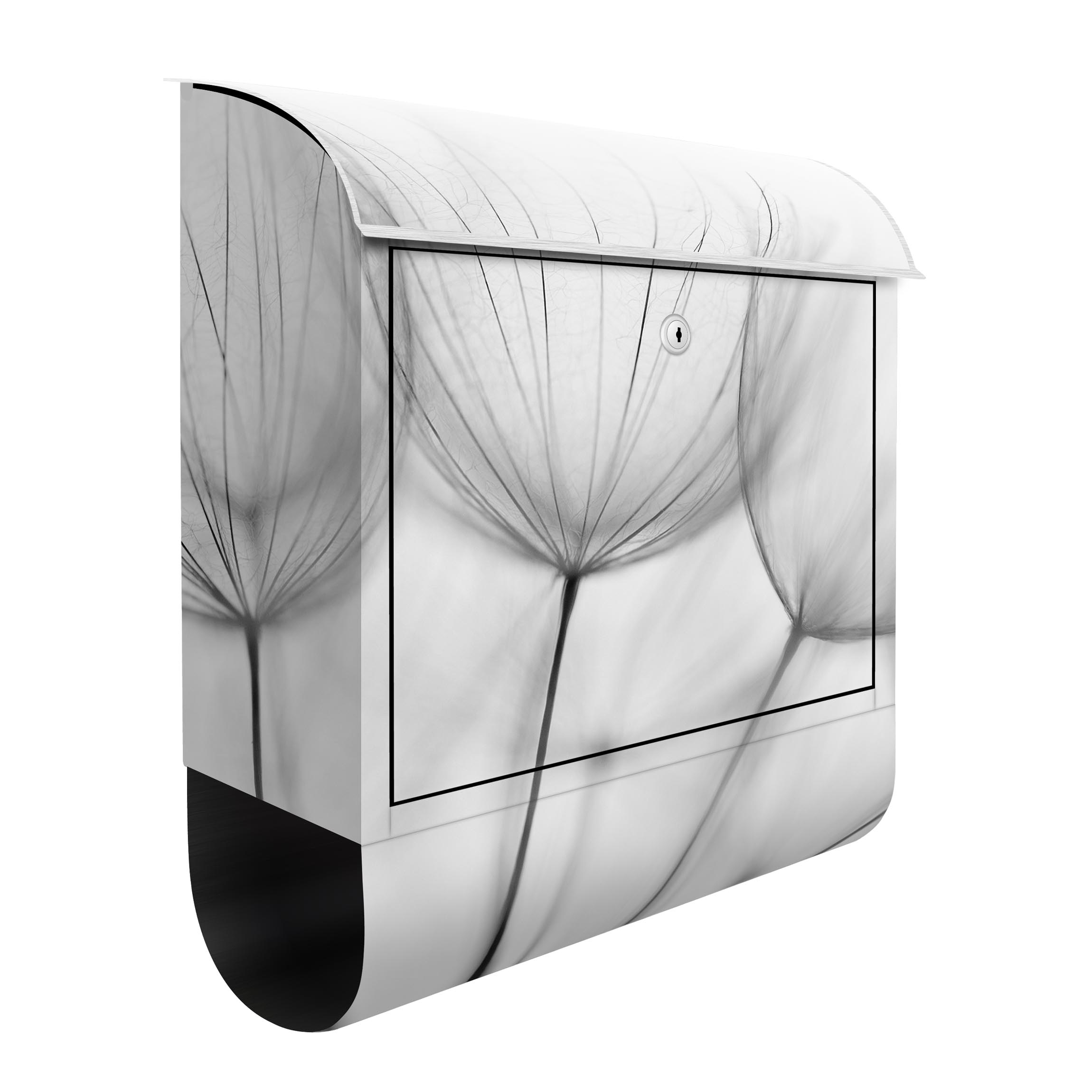 Briefkasten In einer Pusteblume Schwarz-Weiß