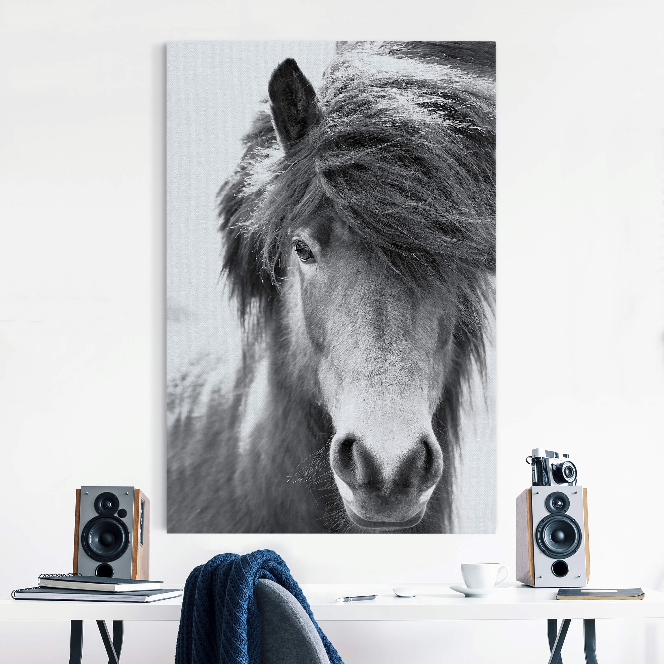Akustikbild Island Pferd in Schwarz-weiß