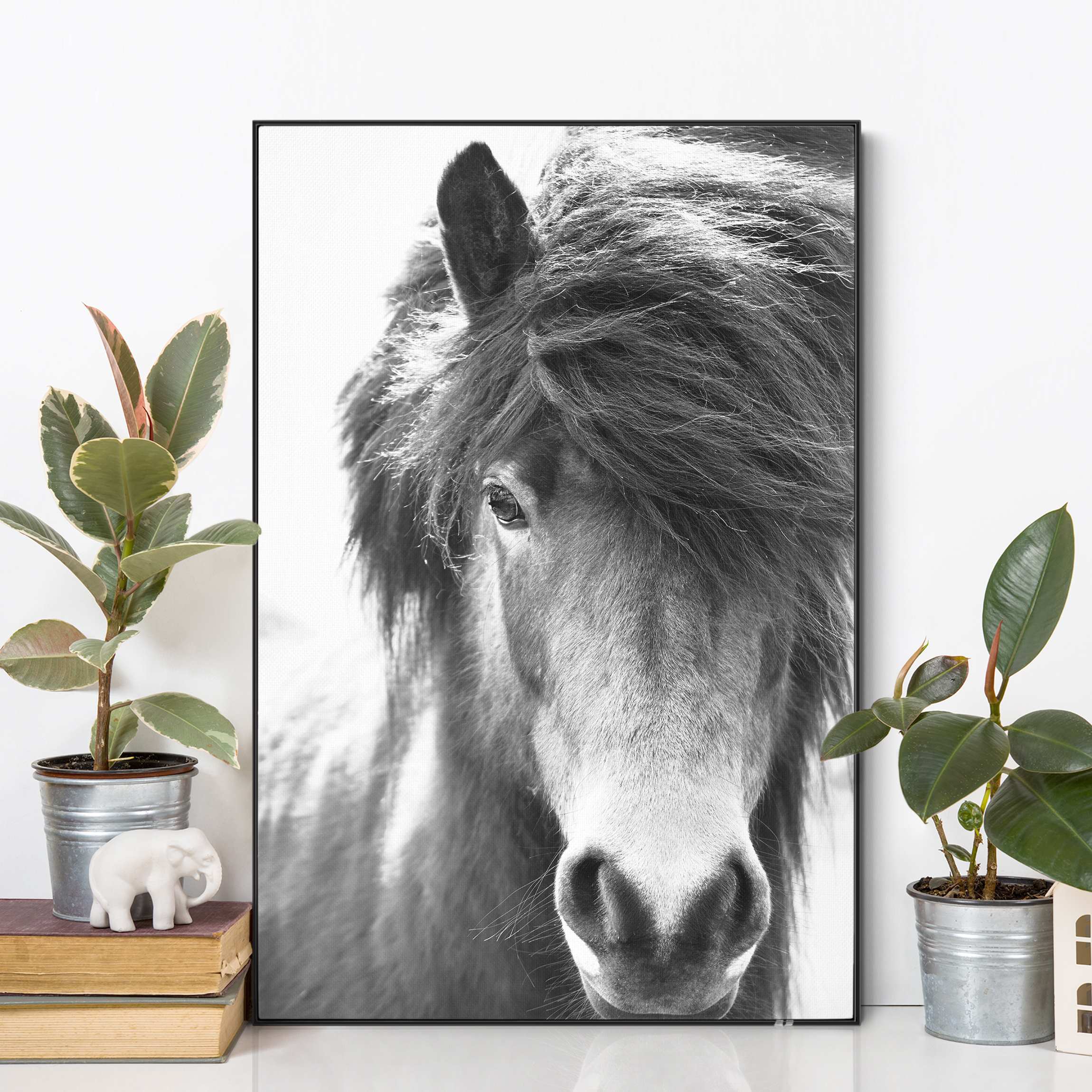 Wechselbild Island Pferd in Schwarz-weiß