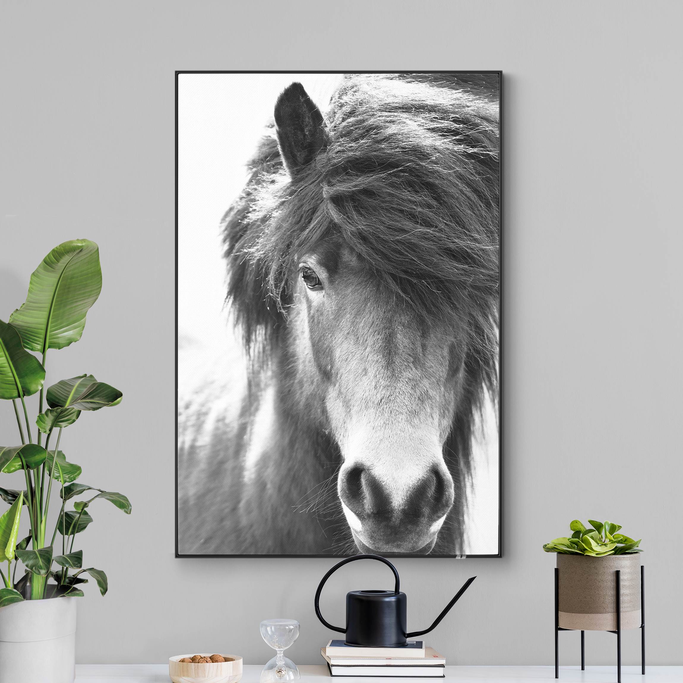 Wechselbild Island Pferd in Schwarz-weiß