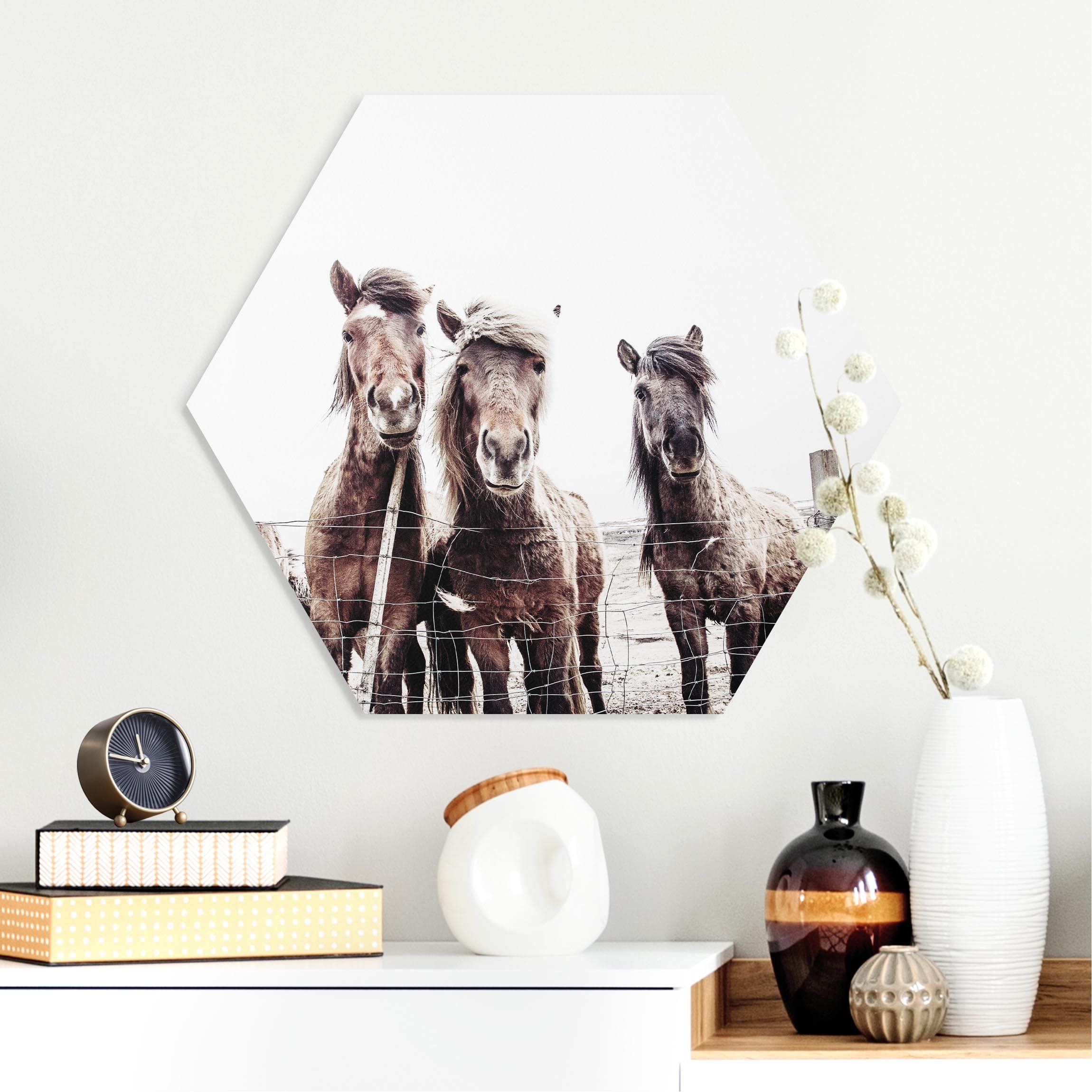 Hexagon-Forexbild Island Pferde