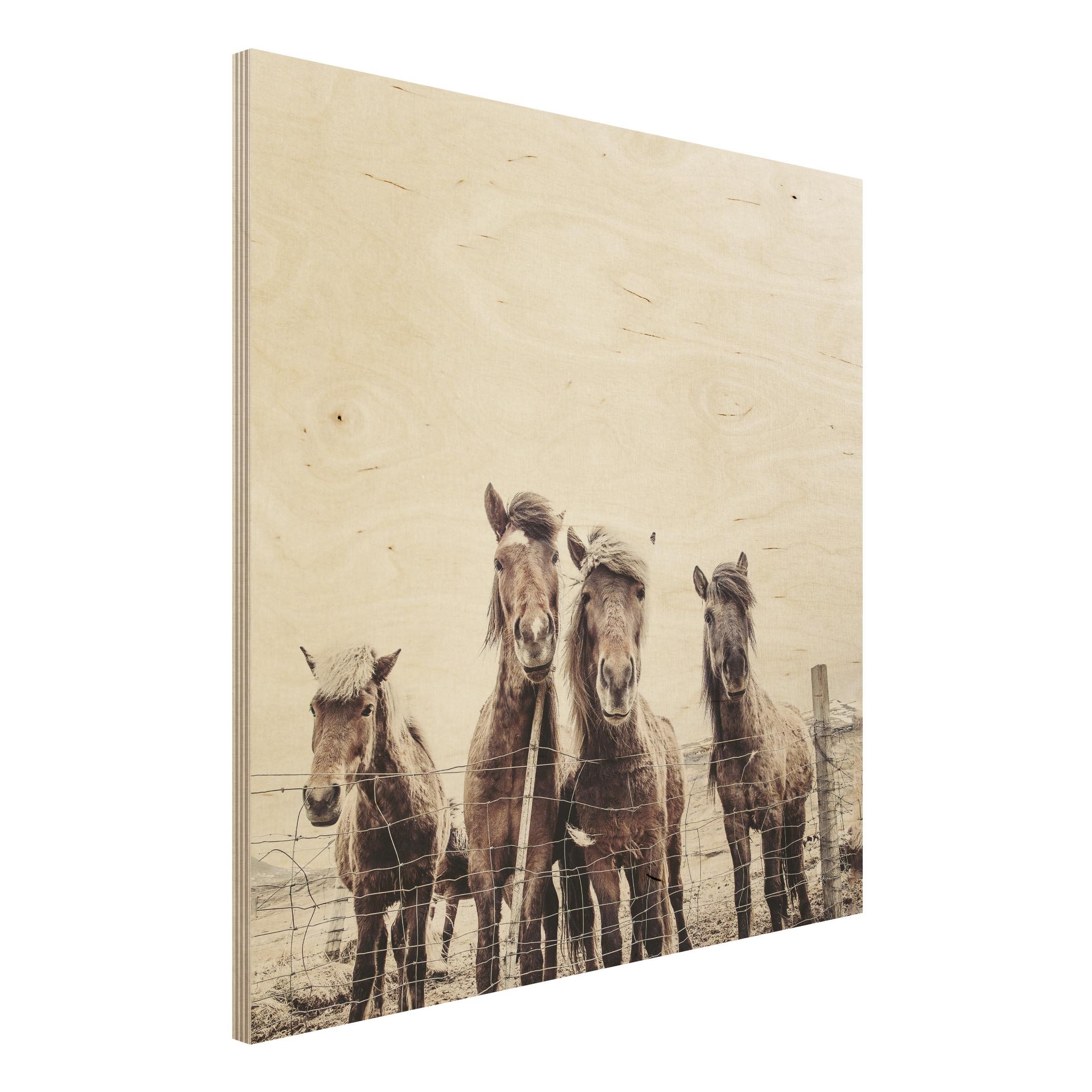 Holzbild Island Pferde