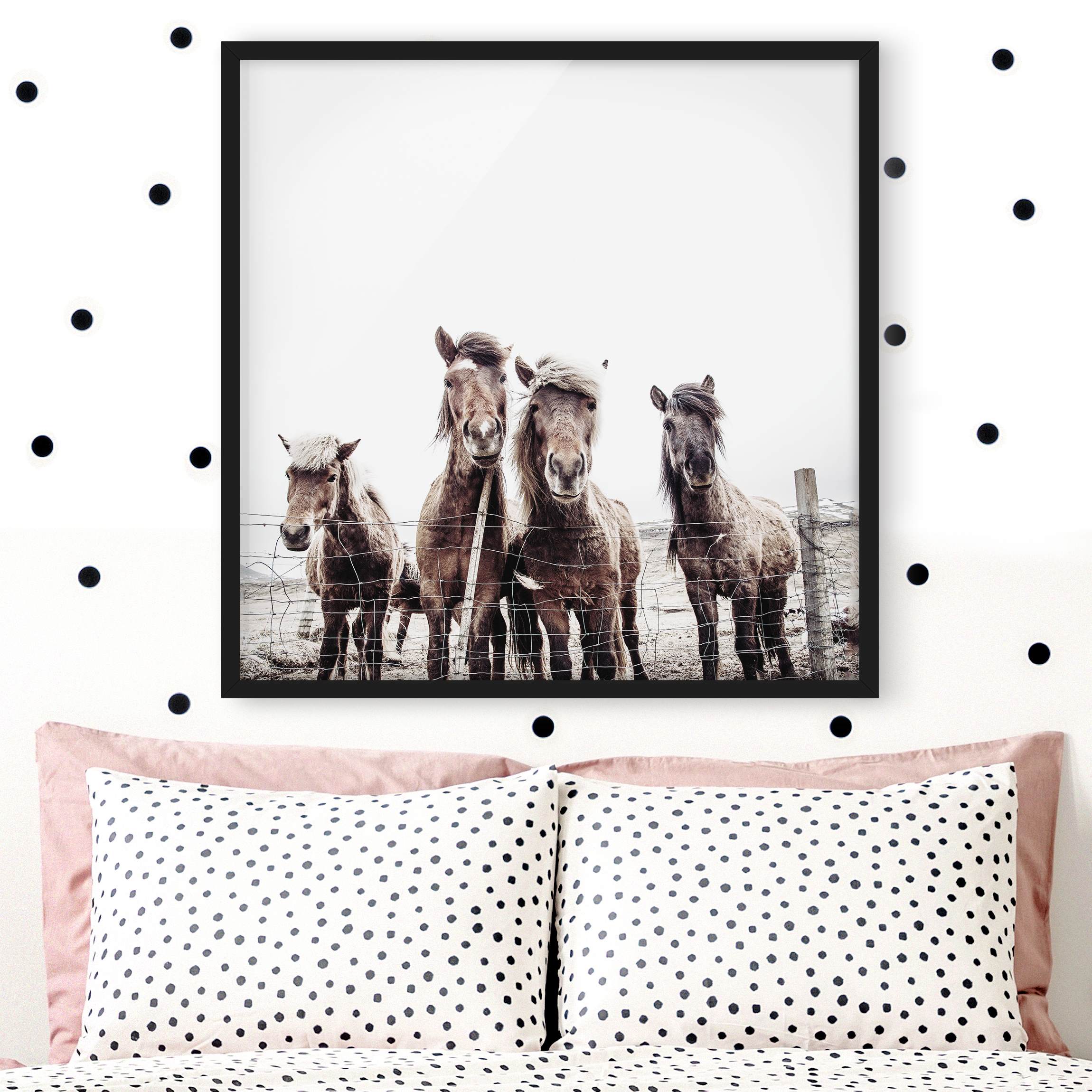 Bild mit Rahmen Island Pferde