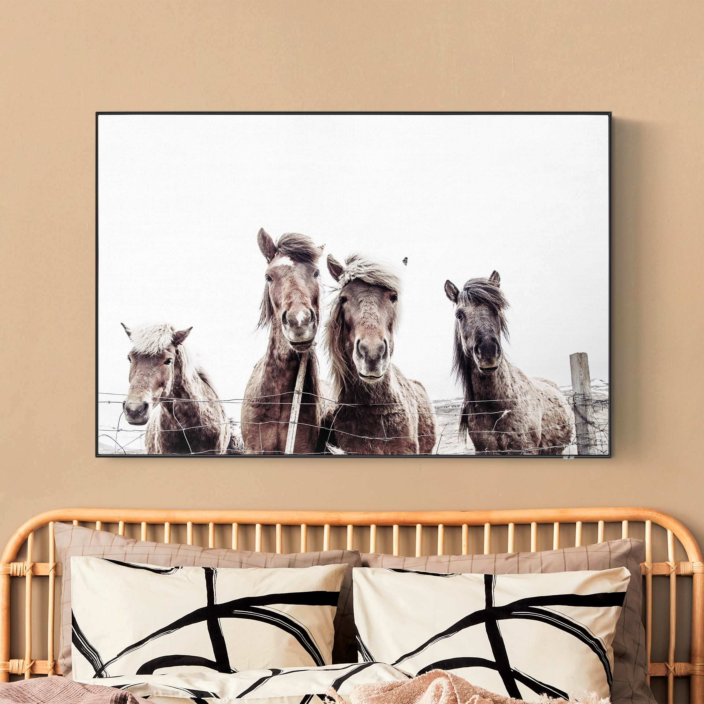 Akustik-Wechselbild Island Pferde