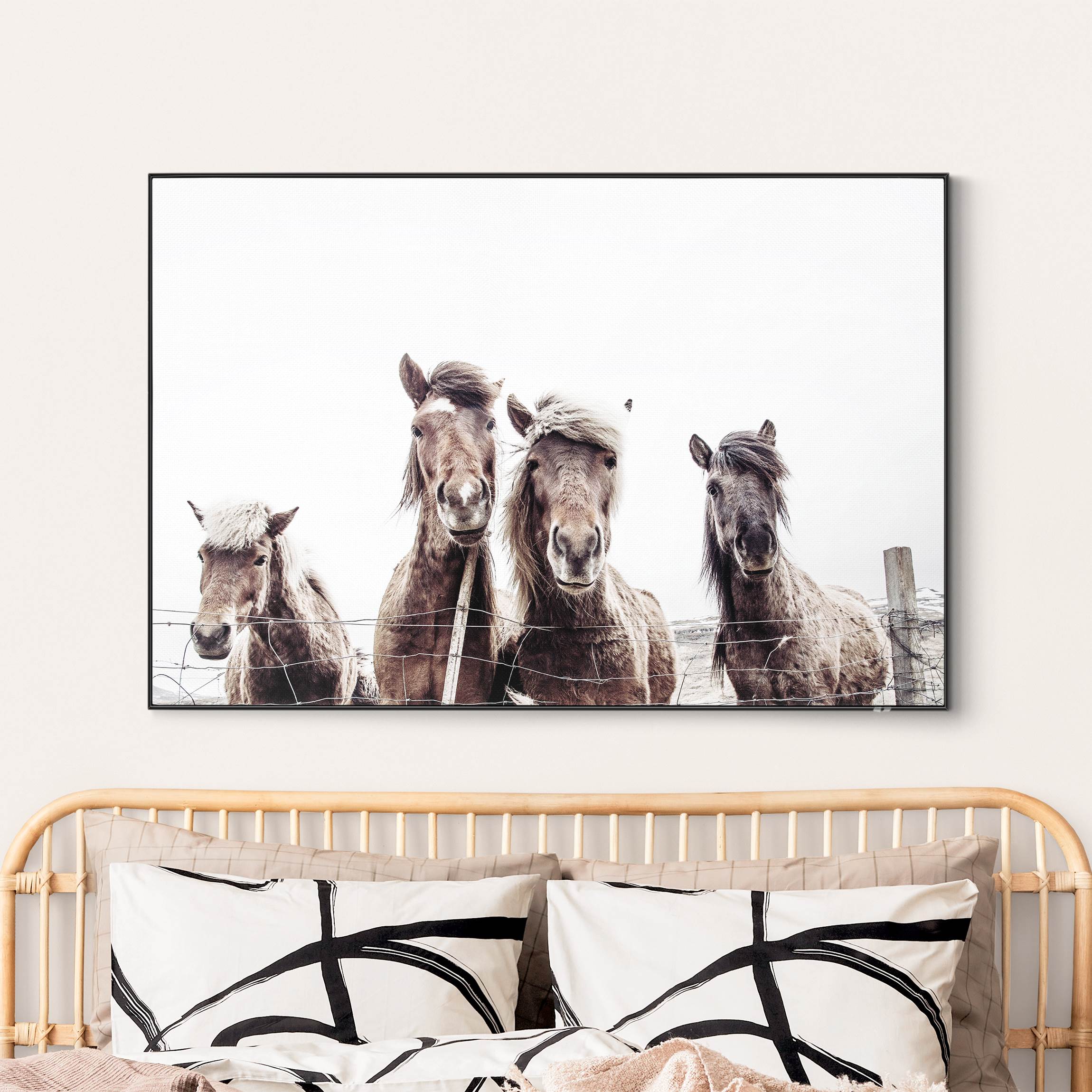 Wechselbild Island Pferde