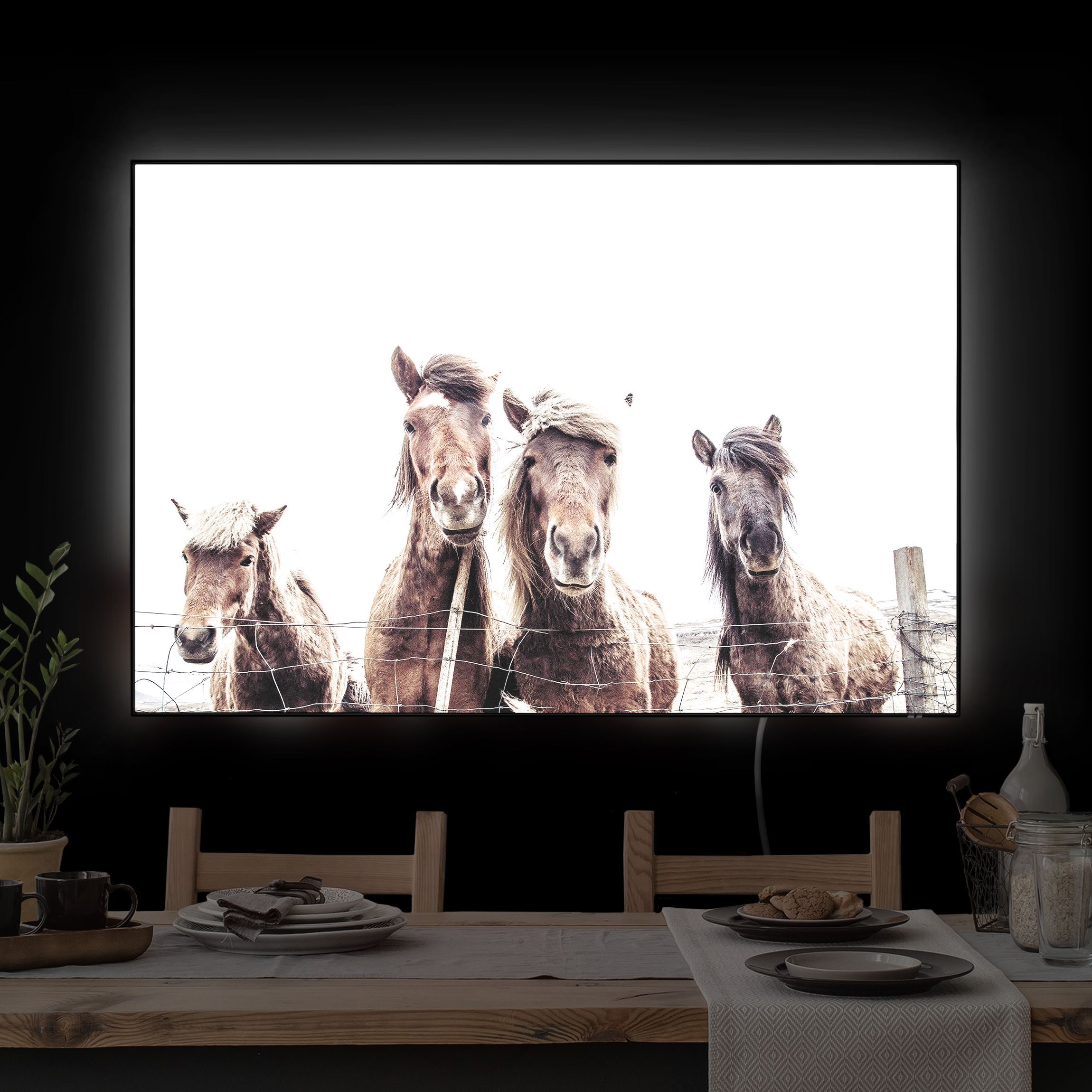 LED-Wechselbild Island Pferde