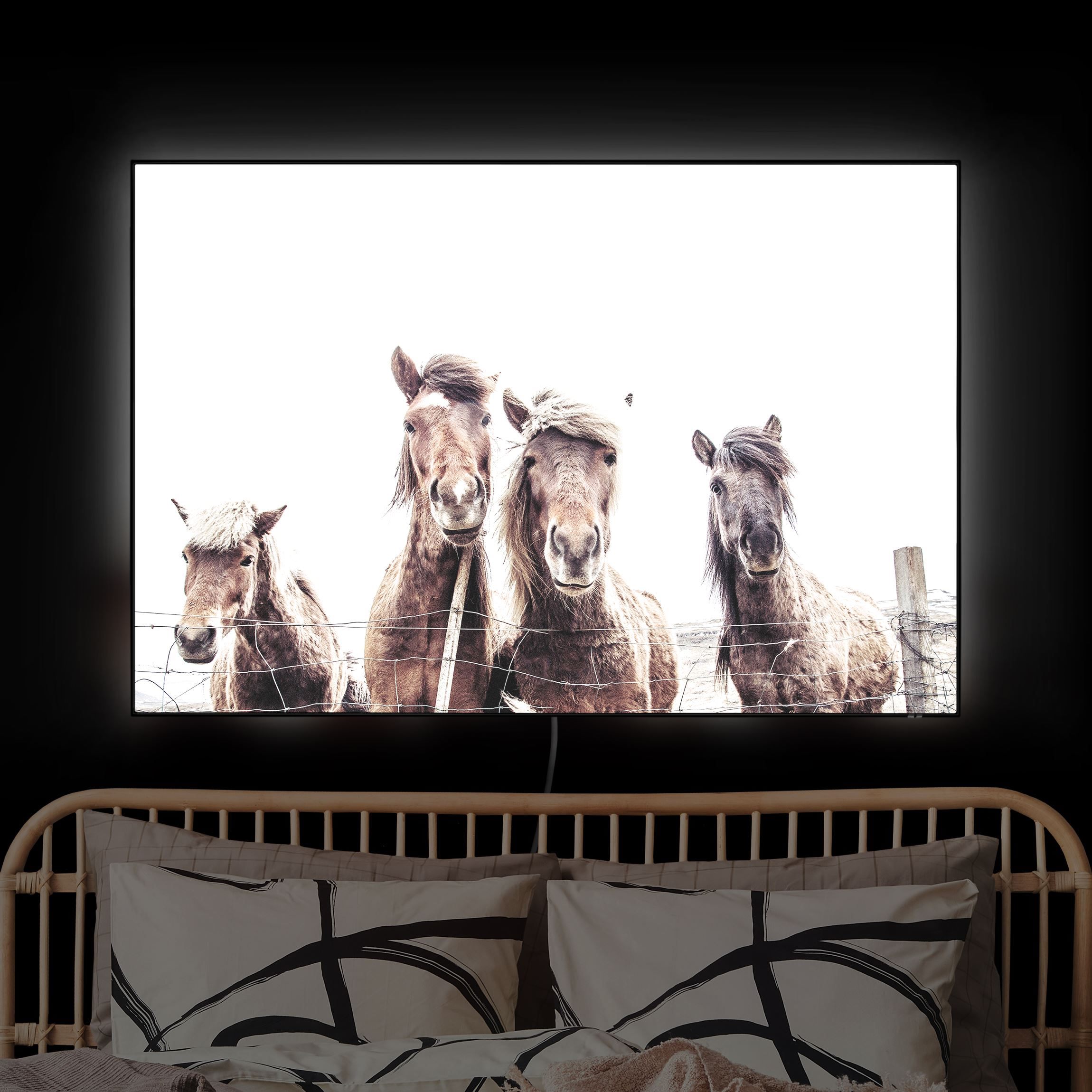 LED-Wechselbild Island Pferde