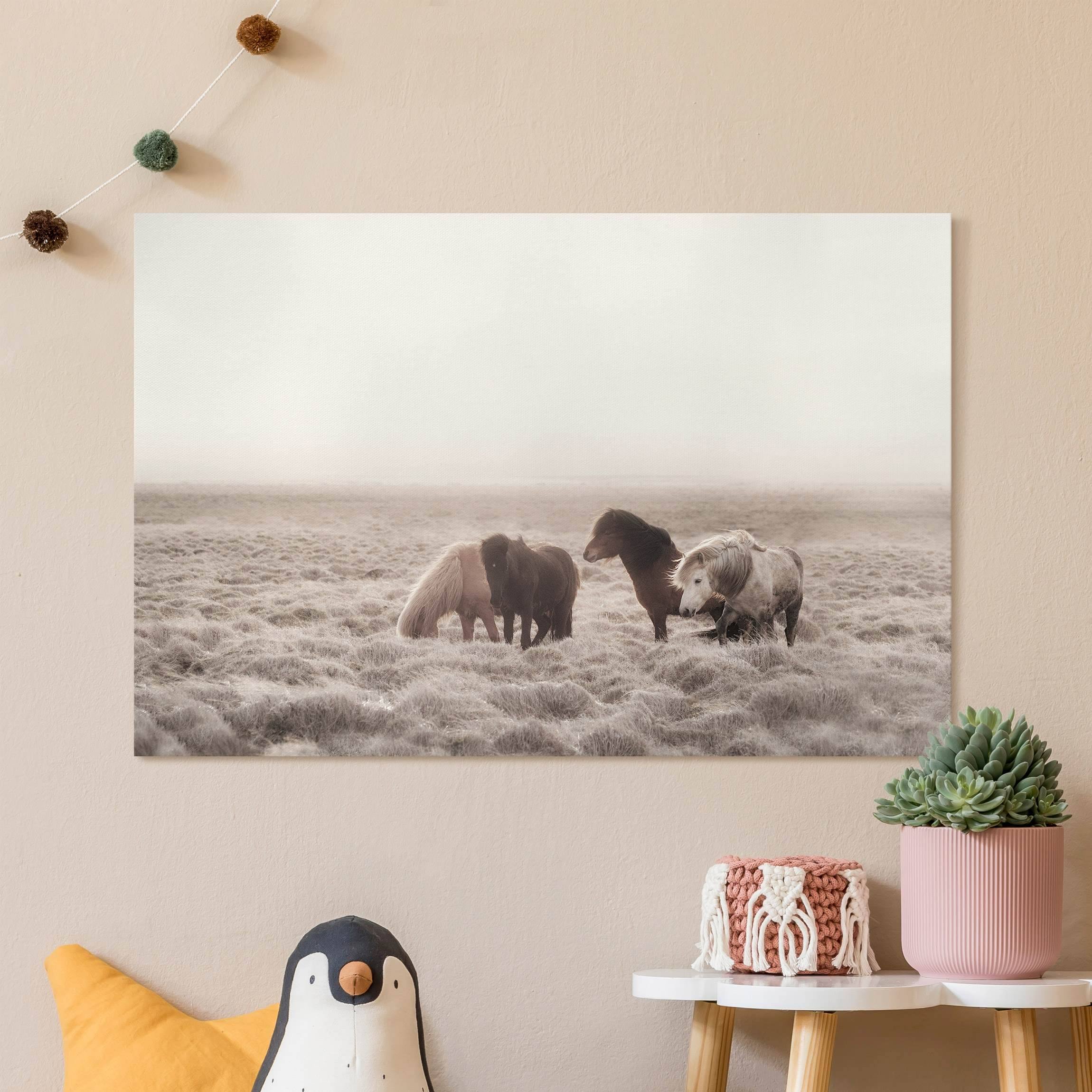 Leinwandbild Island Wildpferde