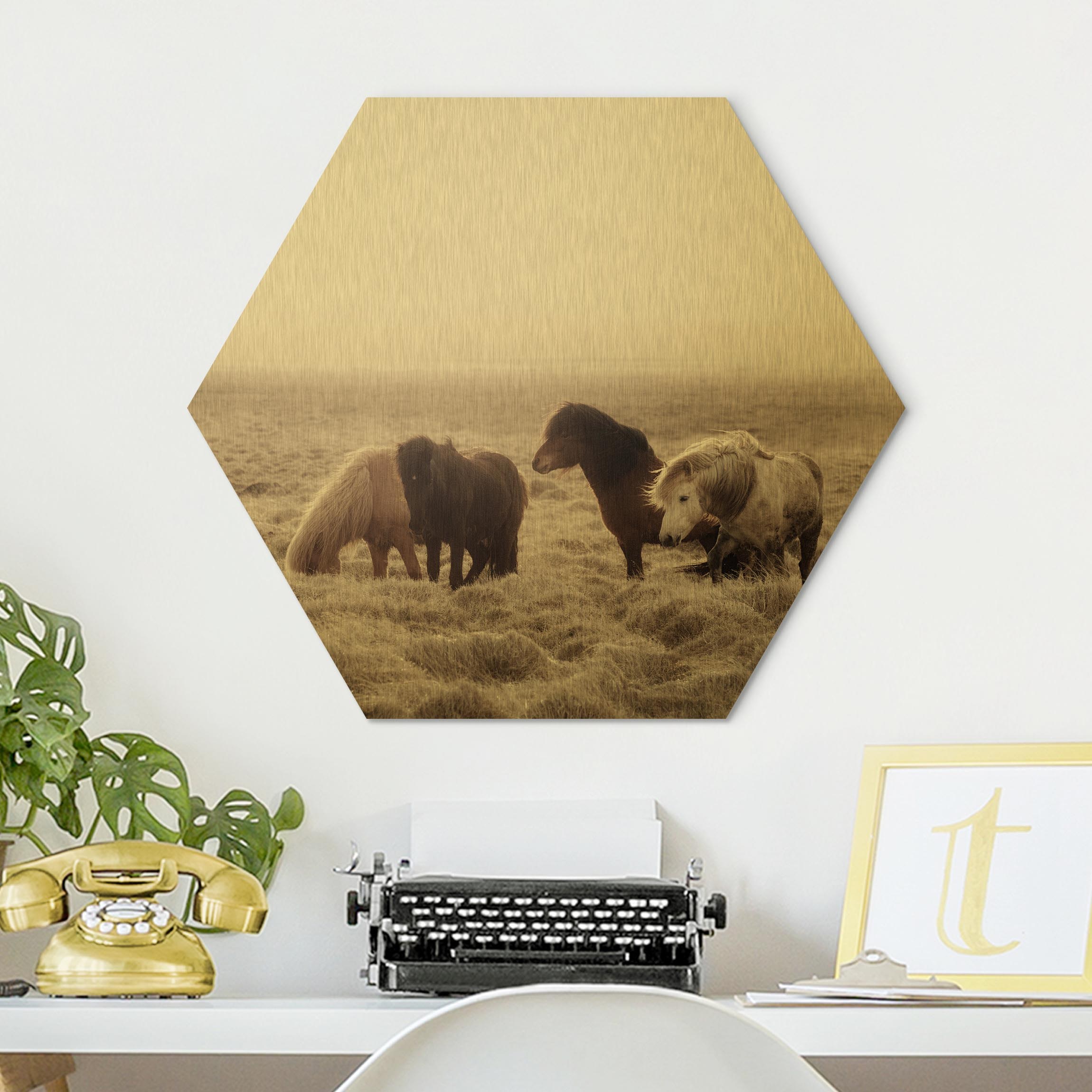 Hexagon-Alu-Dibond Bild Island Wildpferde