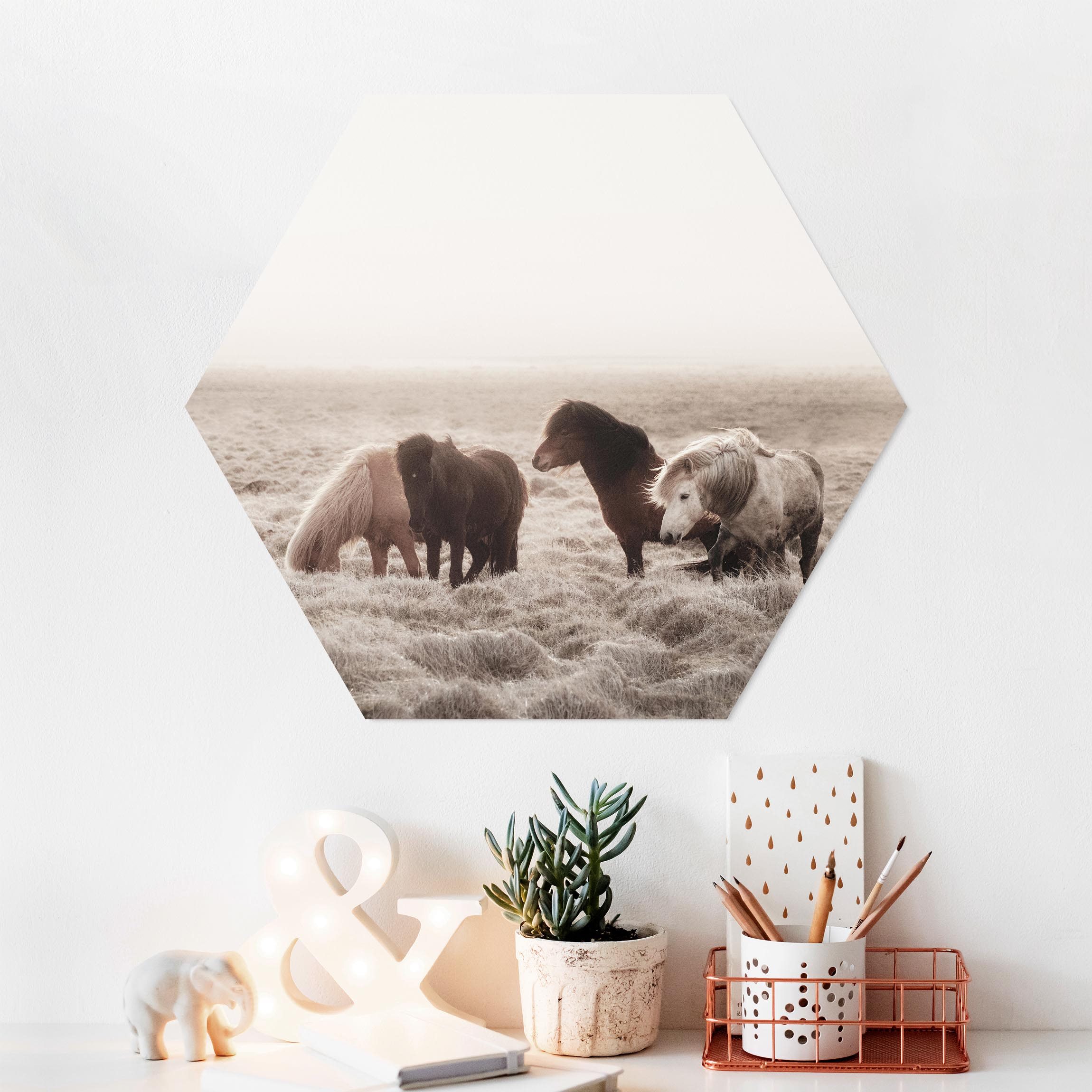 Hexagon-Forexbild Island Wildpferde