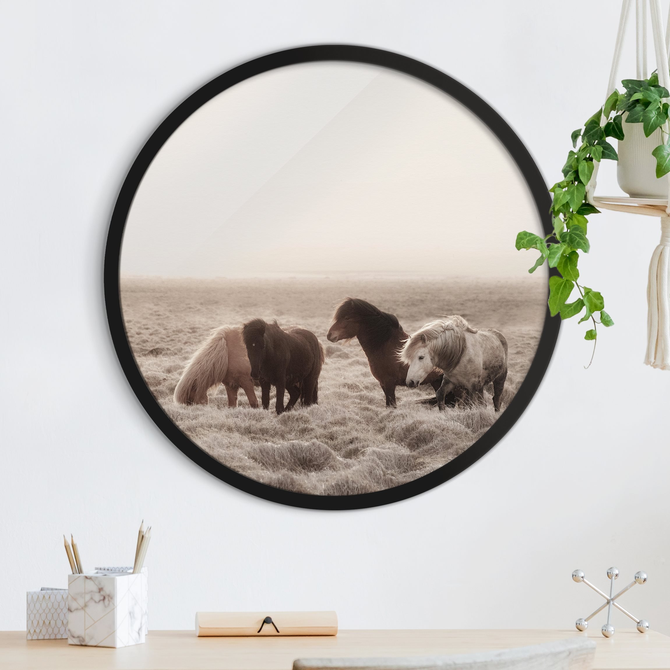 Rundes Bild mit Rahmen Island Wildpferde