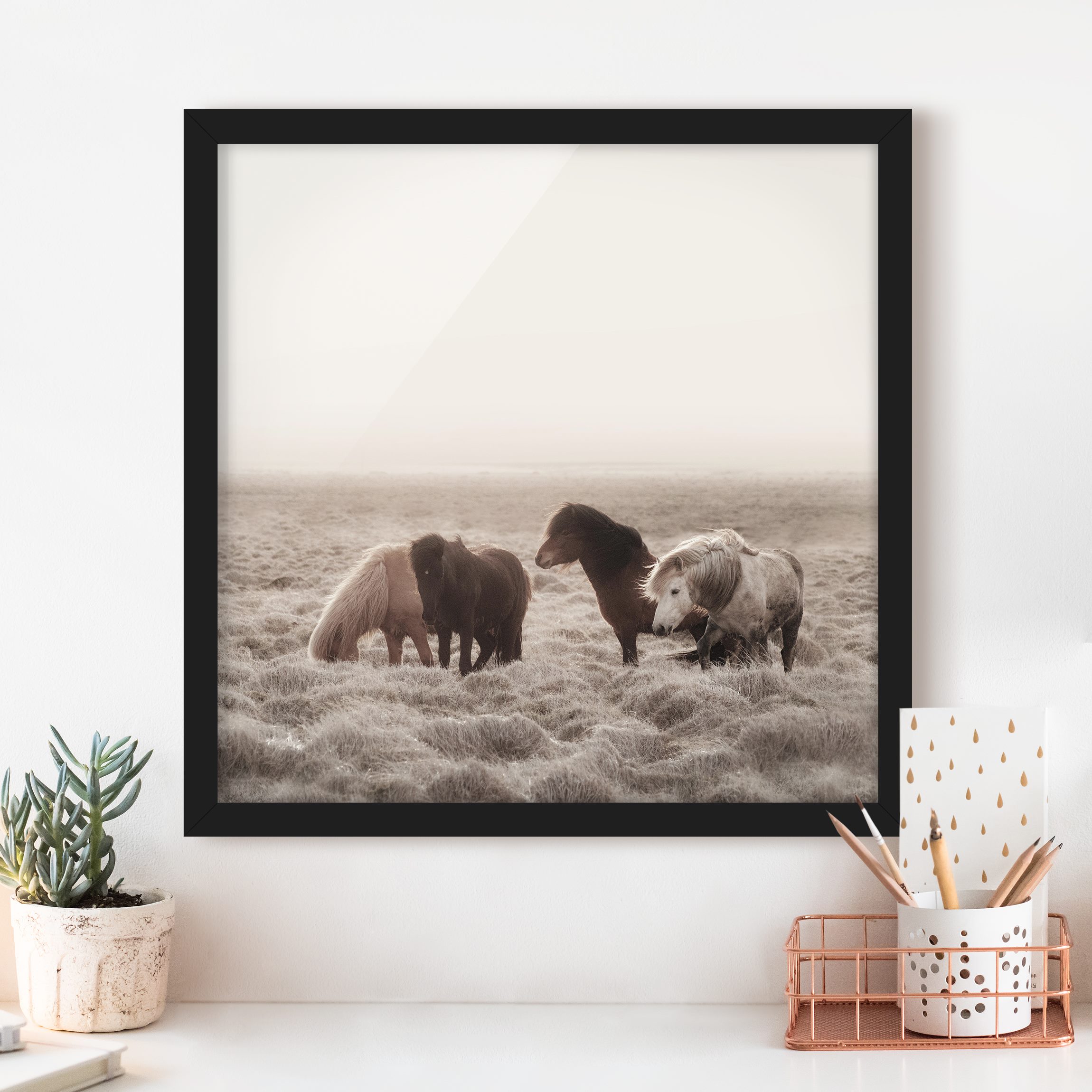 Bild mit Rahmen Island Wildpferde