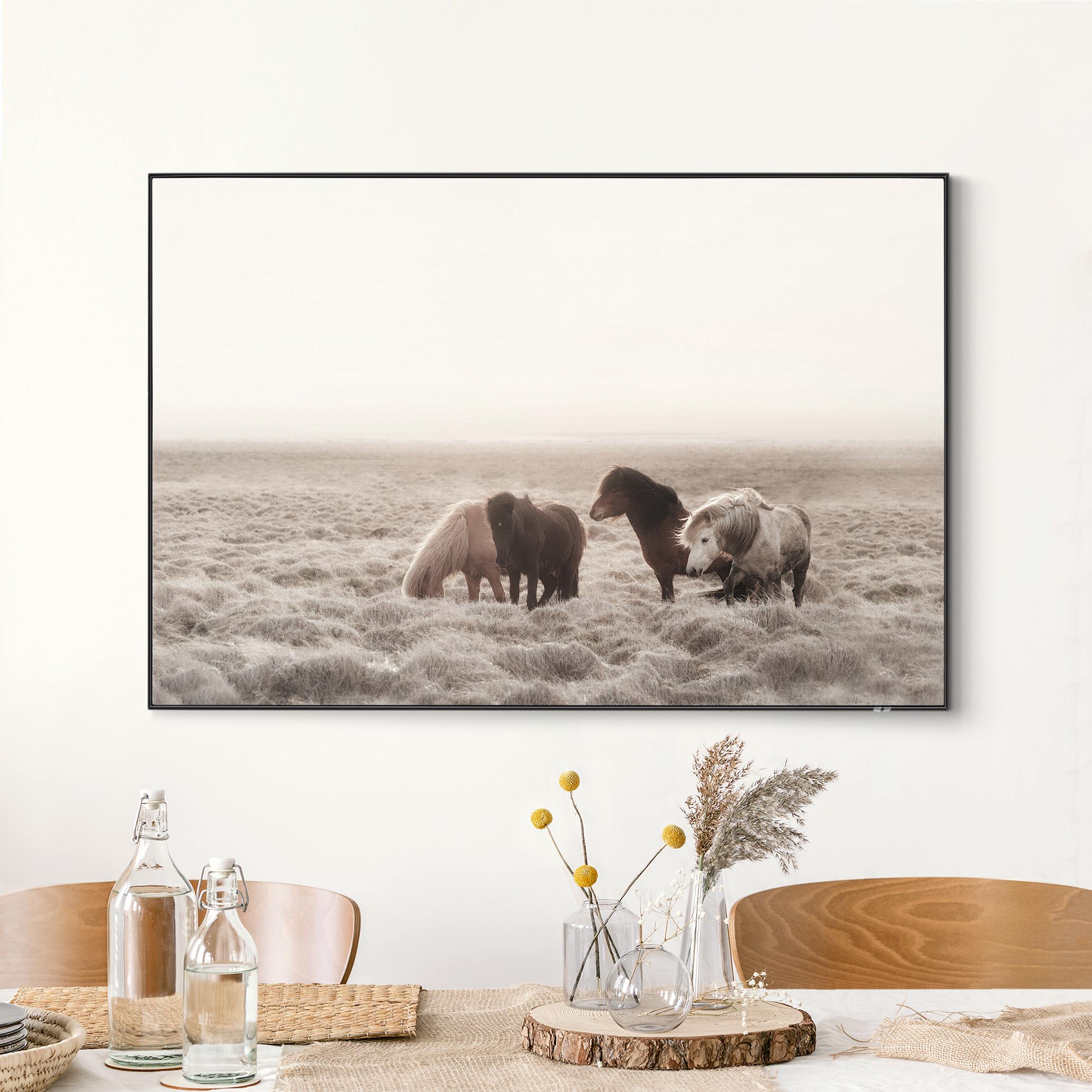 Wechselbild Island Wildpferde