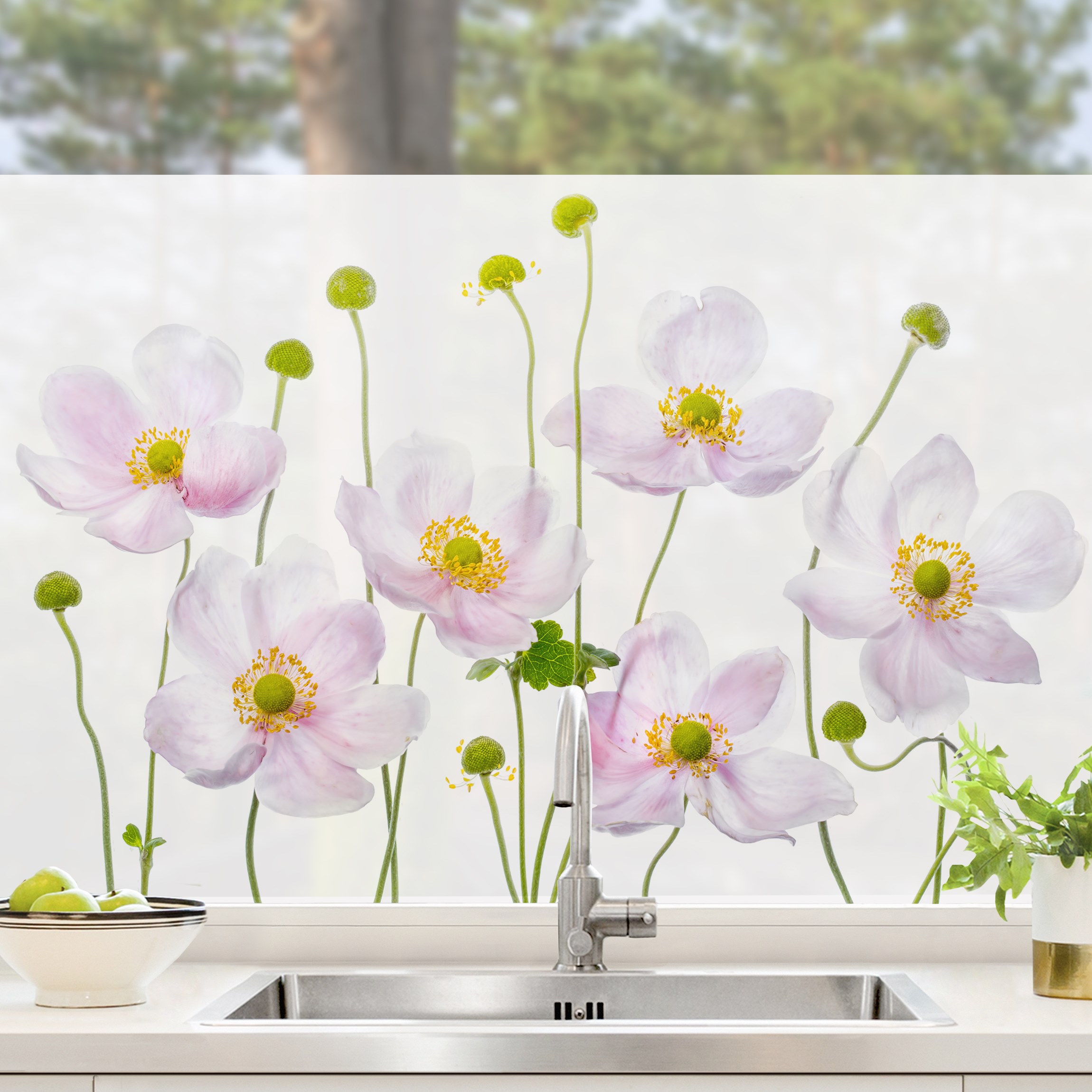 Fensterfolie Japanische Anemonen