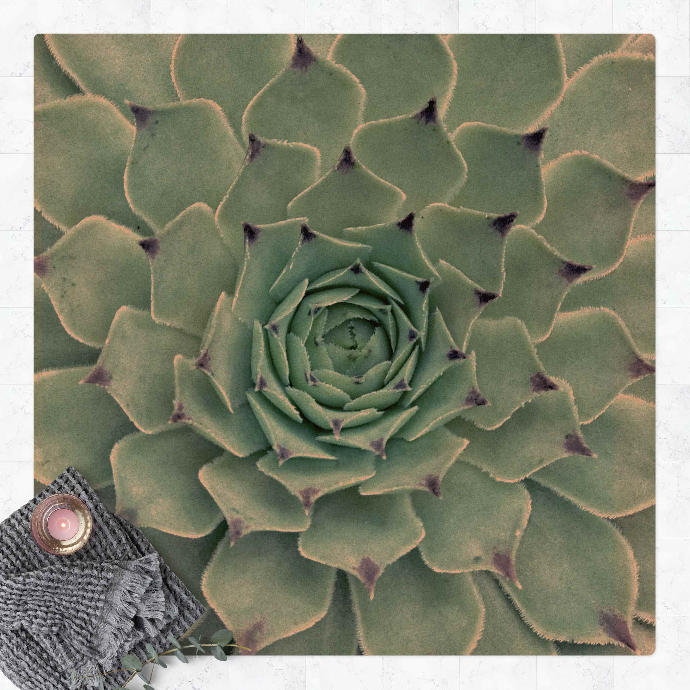 Kork-Teppich Kaktus Agave