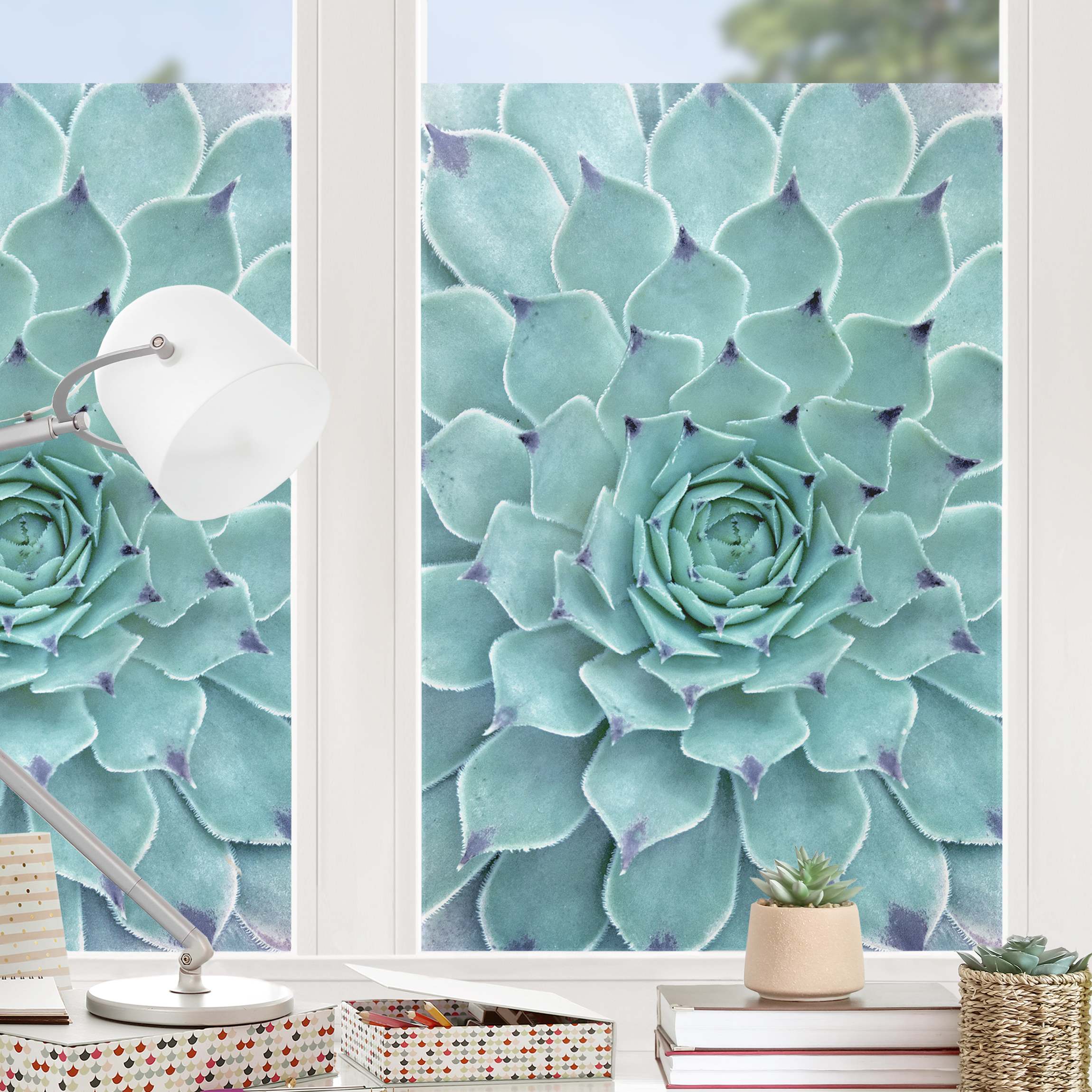 Fensterfolie Kaktus Agave