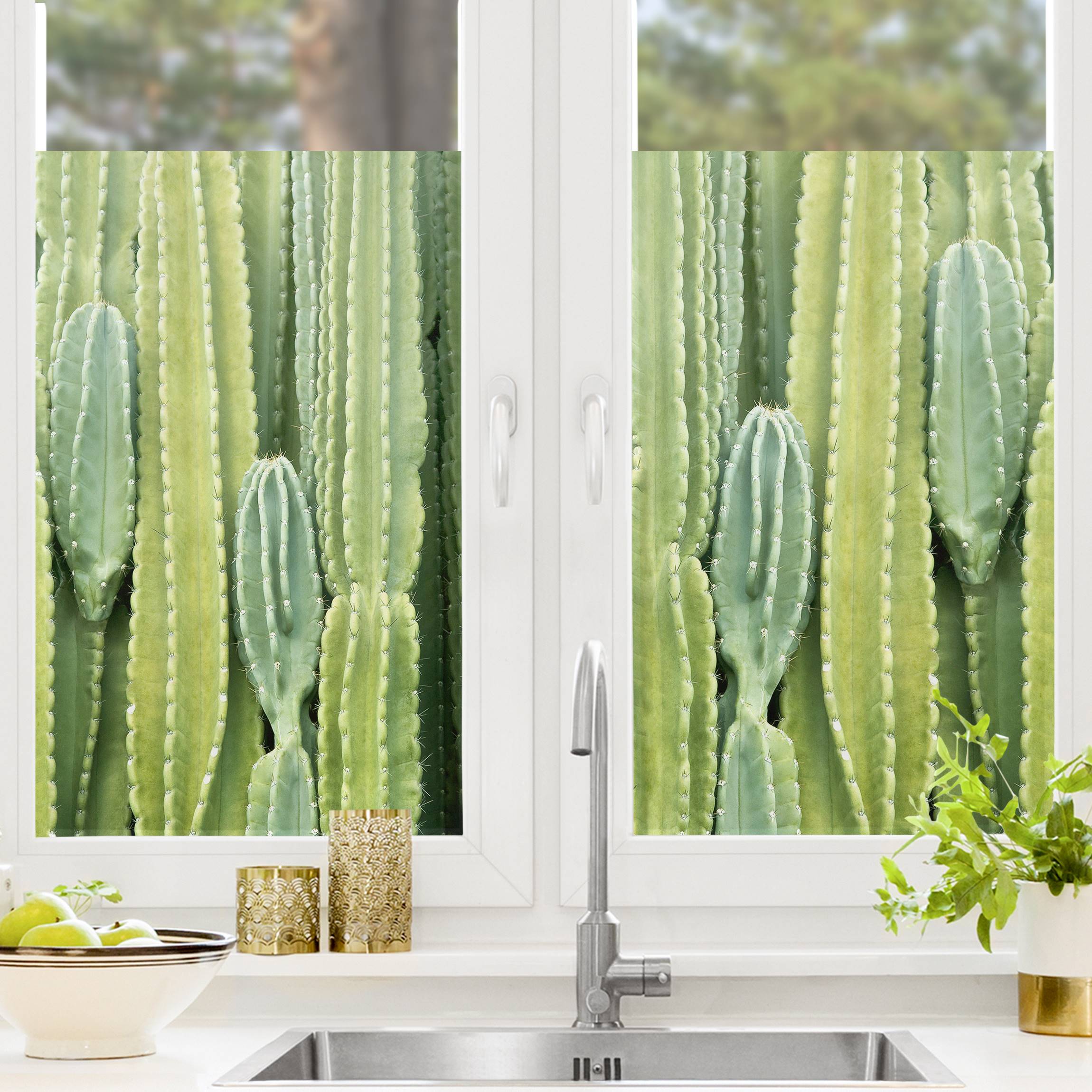 Fensterfolie Kaktus Wand