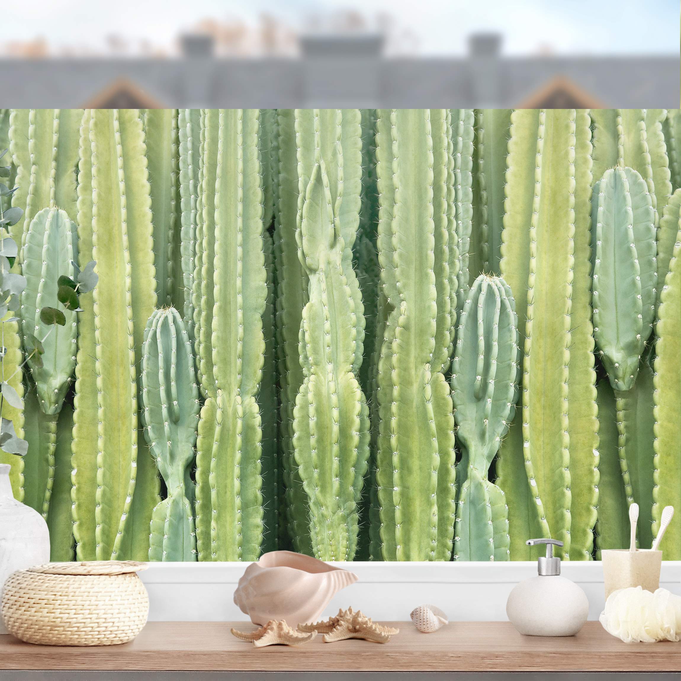 Fensterfolie Kaktus Wand