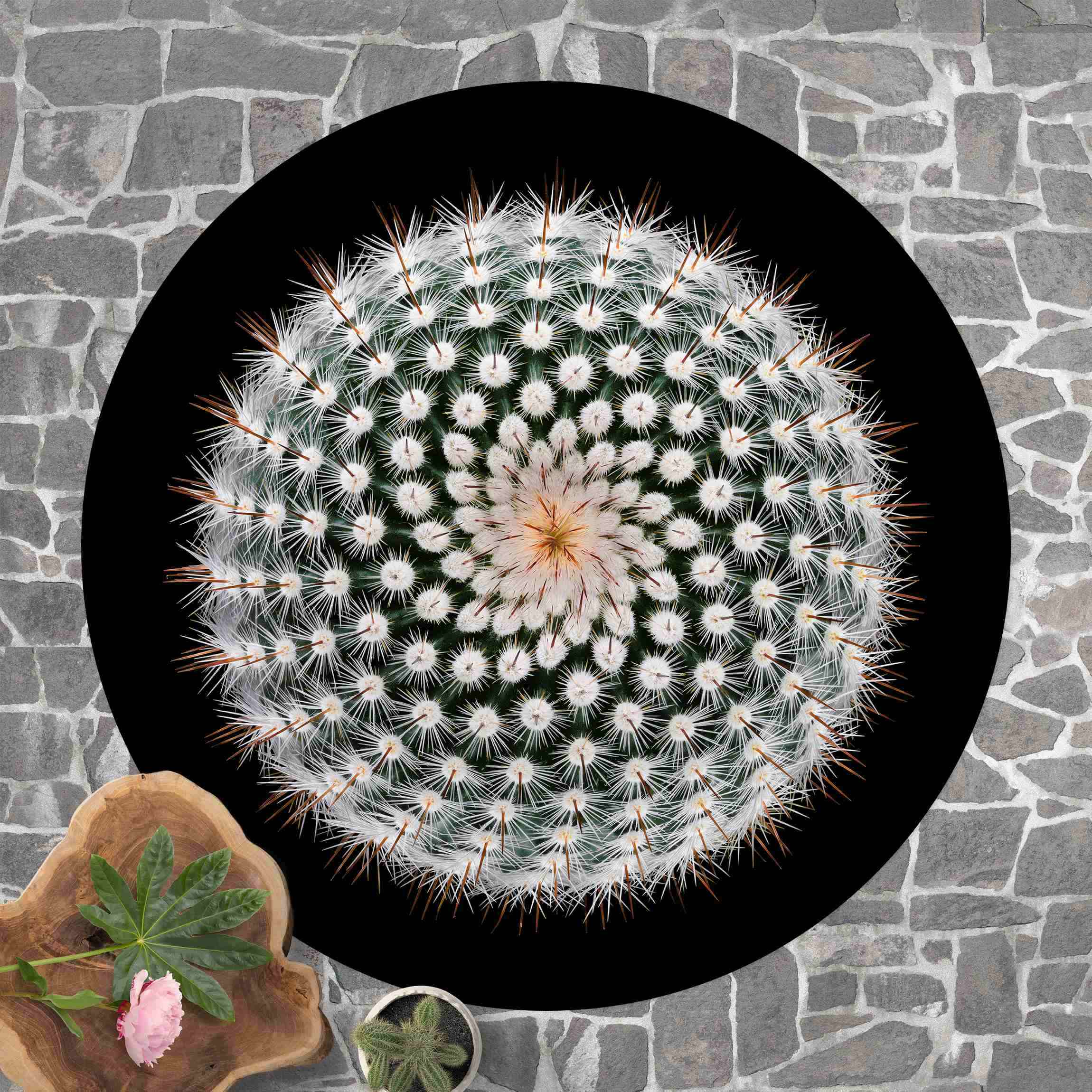 Runder Vinyl-Teppich Kaktusblüte