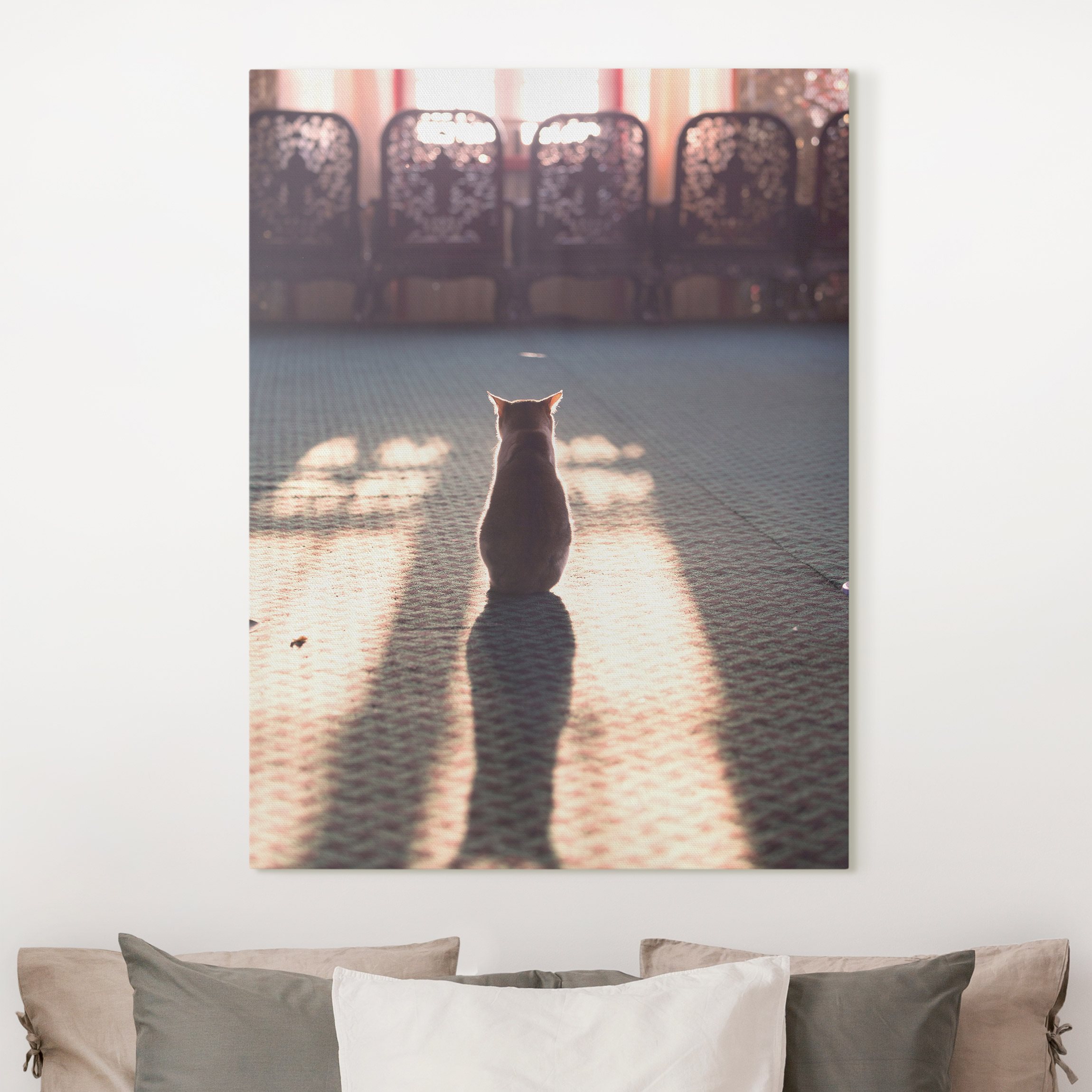 Leinwandbild Katze im Schein