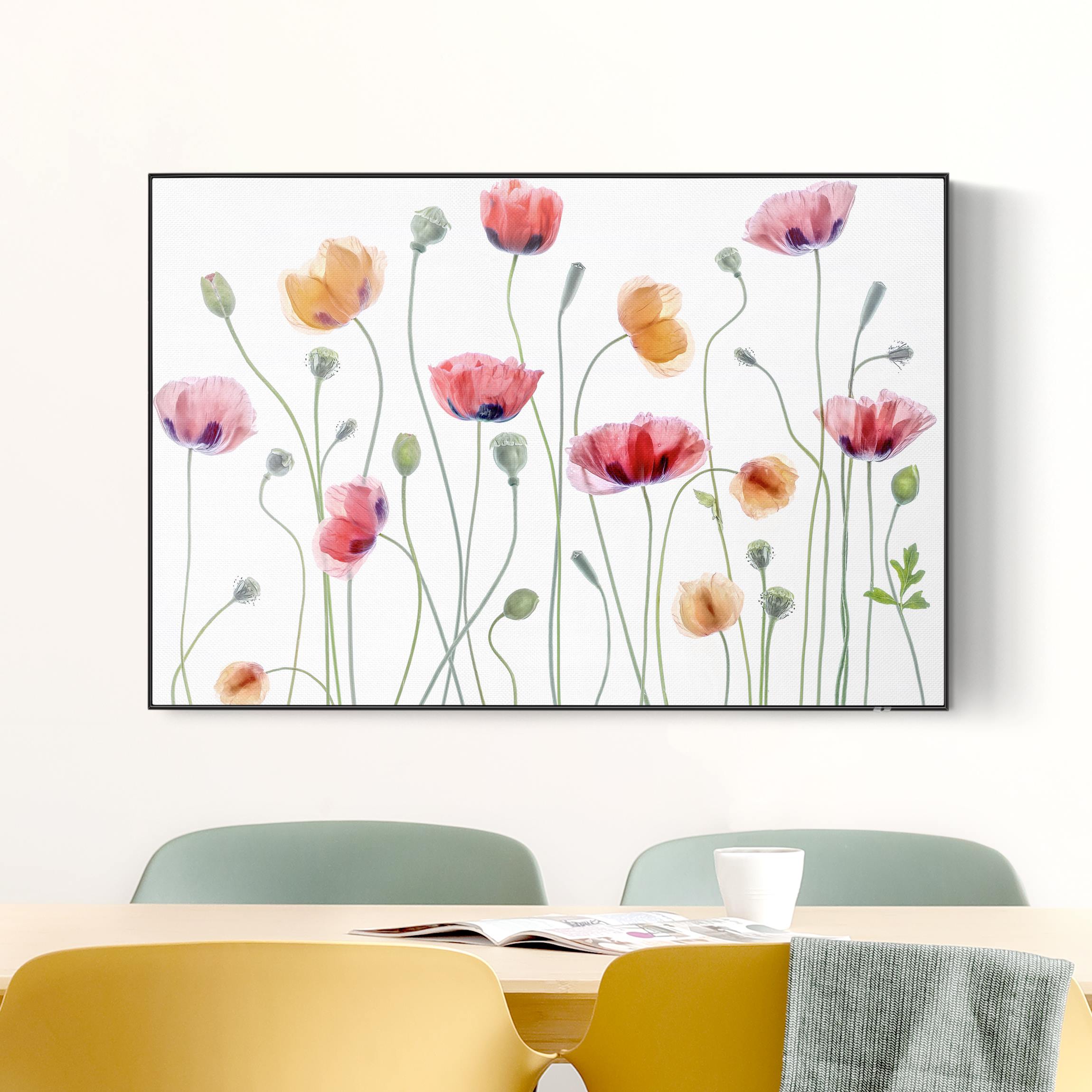 Akustik-Wechselbild Klatschmohn Party